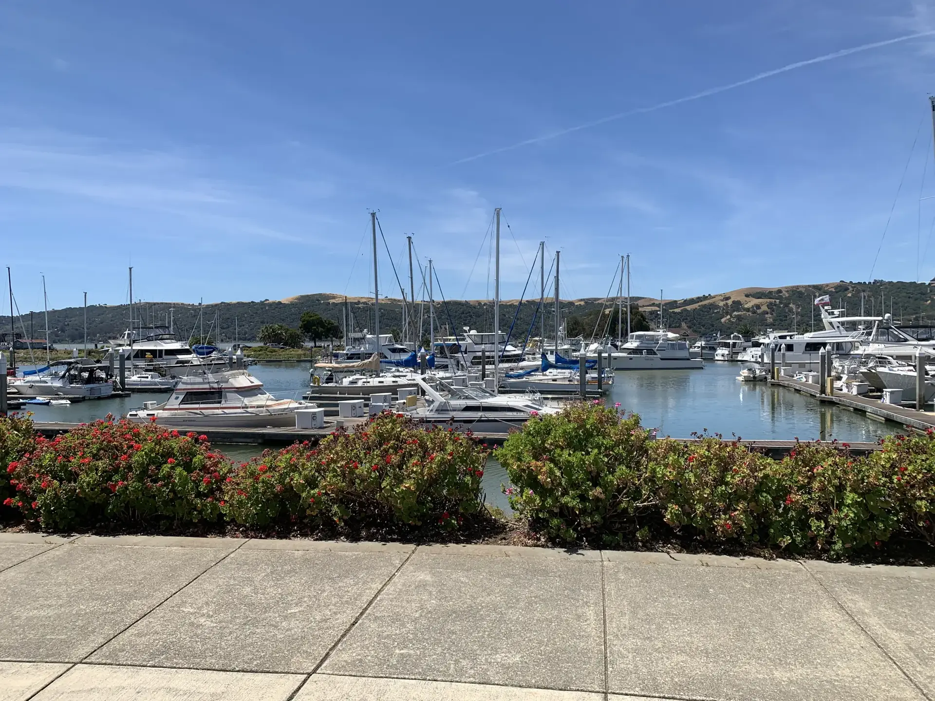 A marina filled with boats, framed by green bushes and distant hills.