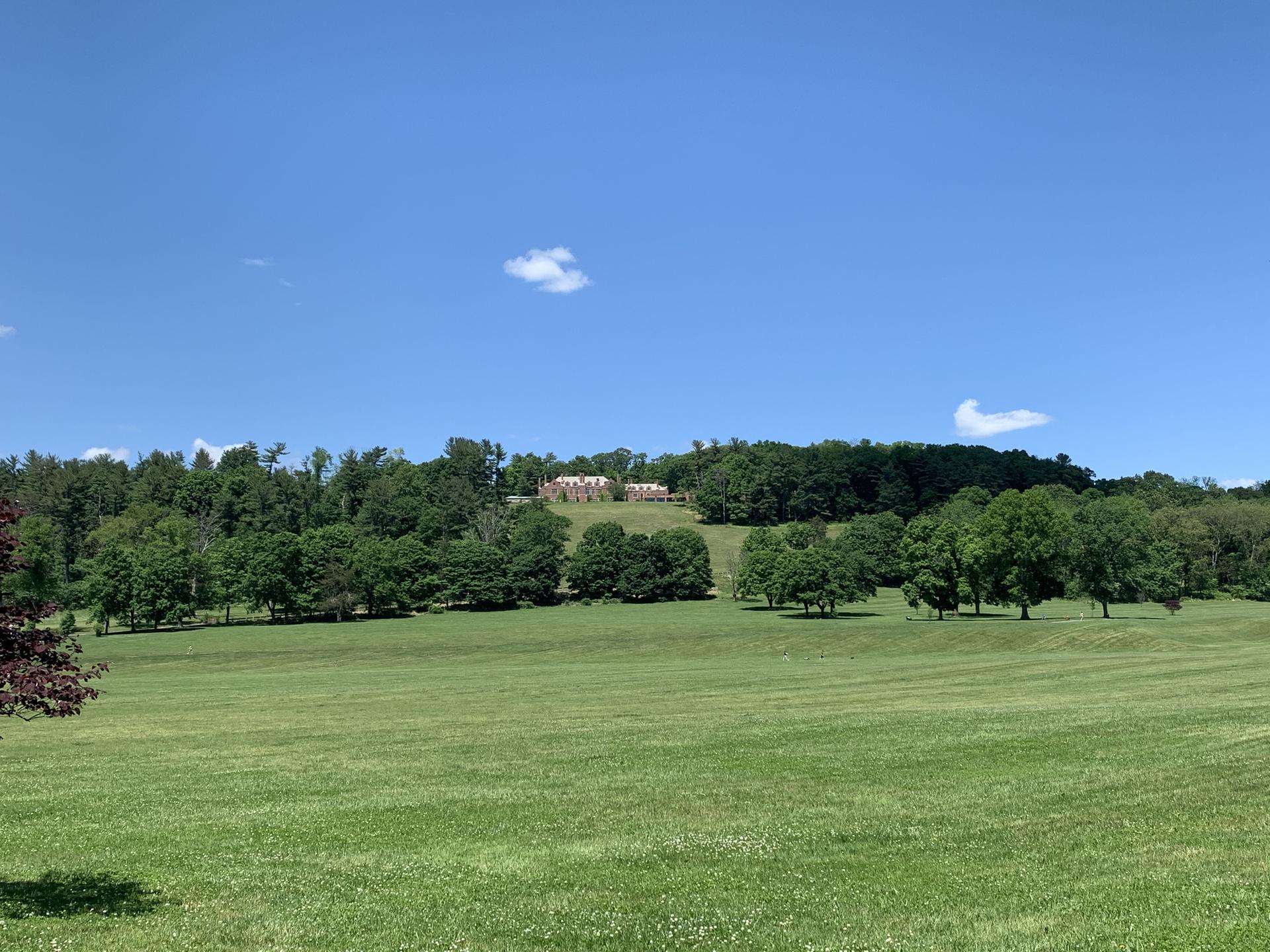 Vast green field under a clear blue sky, with distant trees and building.