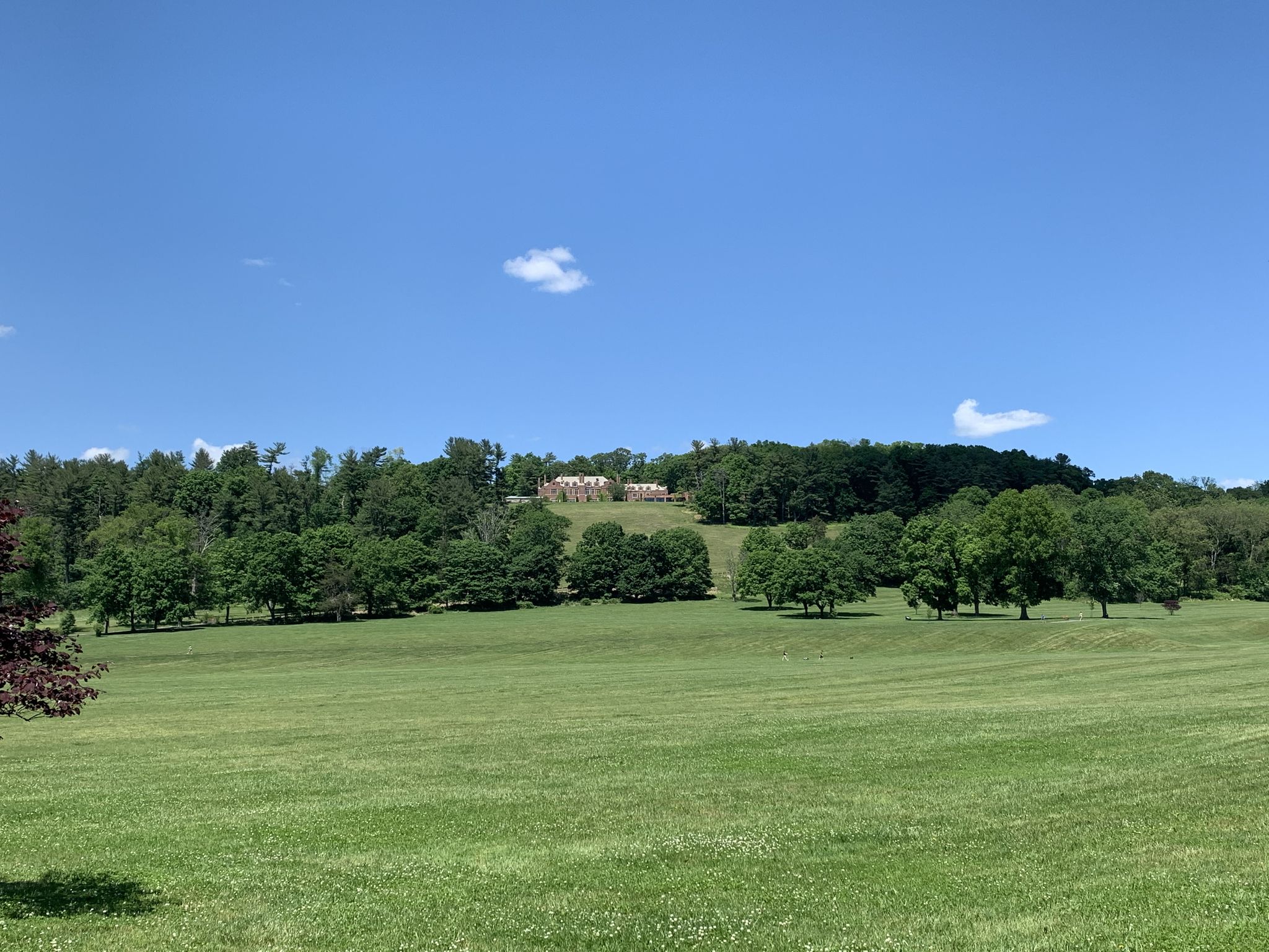Vast green field under a clear blue sky, with distant trees and building. - Natirar Park Great Meadow Trail