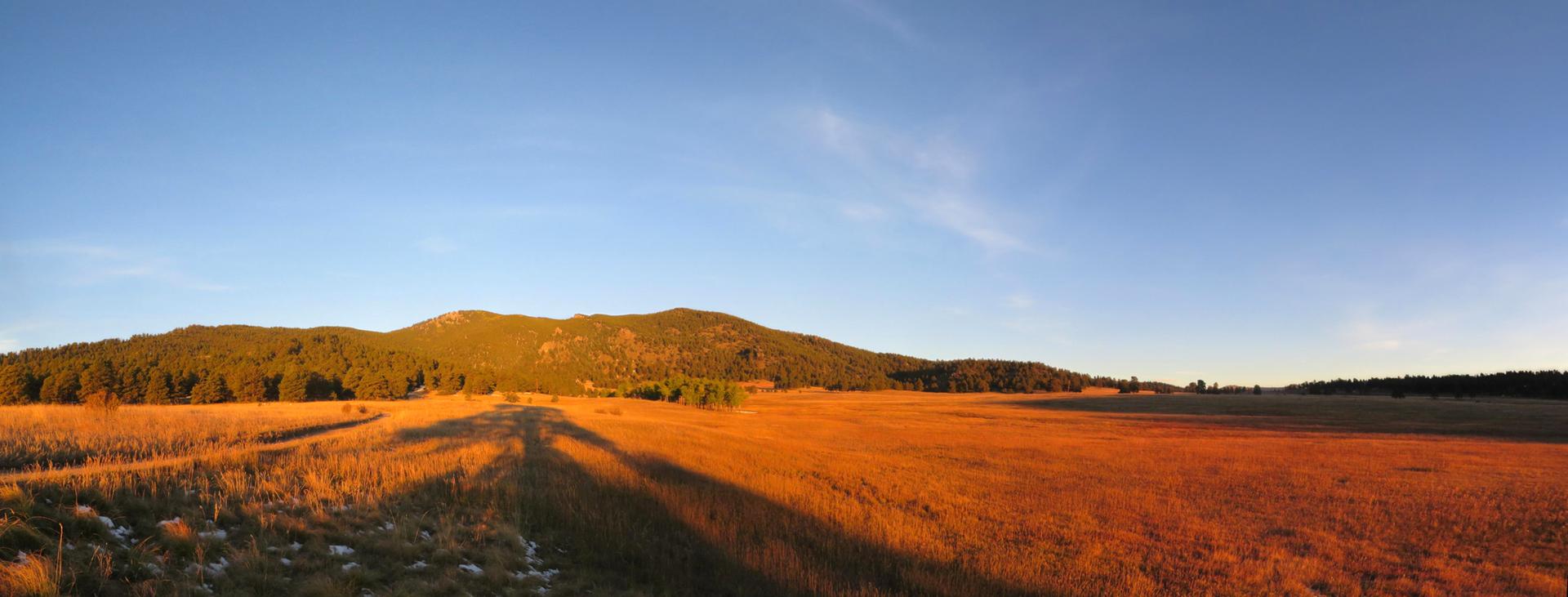 Golden hour light illuminates a vast field with long shadows and distant mountains.
