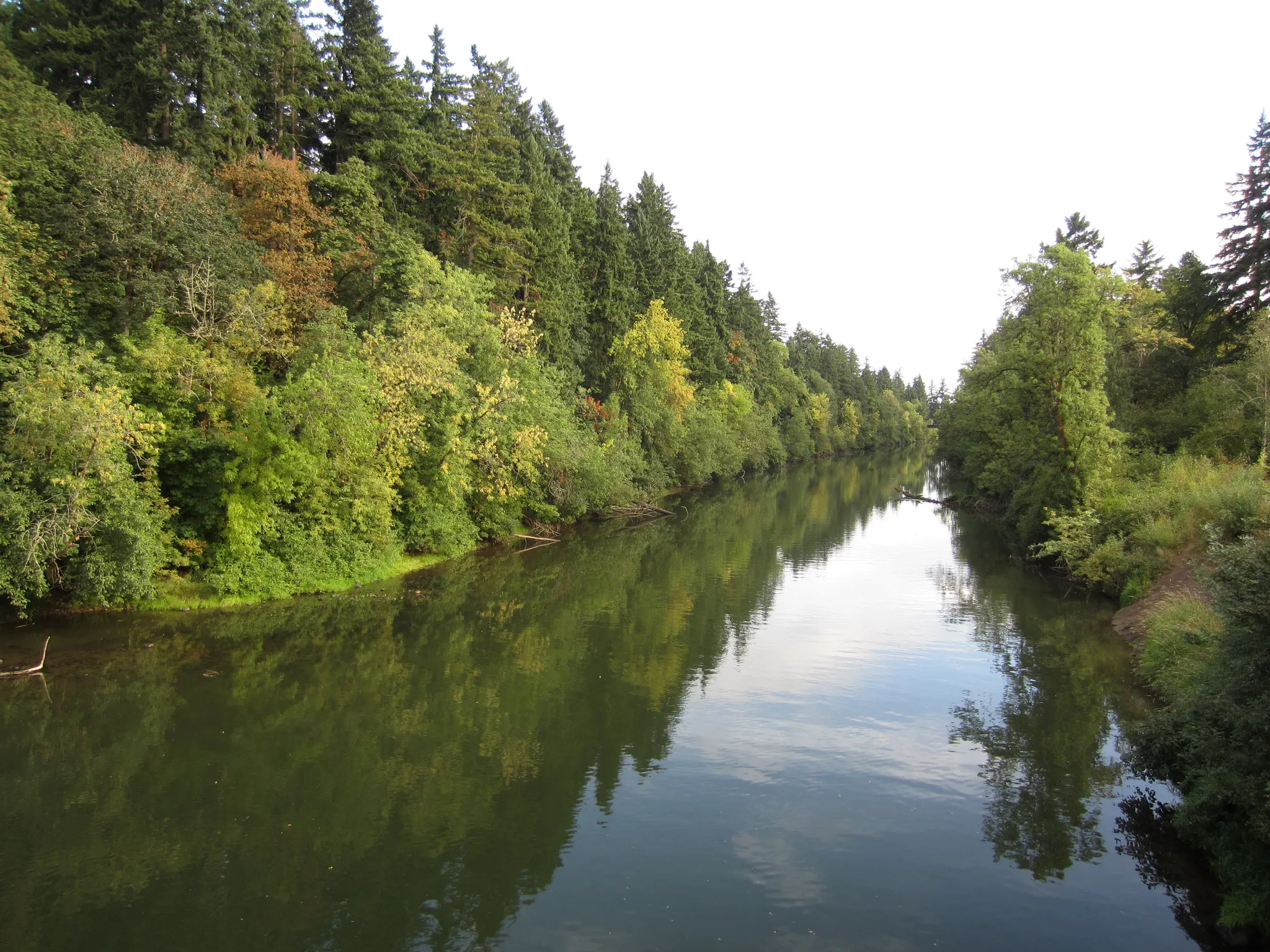 Calm river reflecting lush green and autumn trees under bright daylight. - Cook Park and Tualatin River Greenway Loop