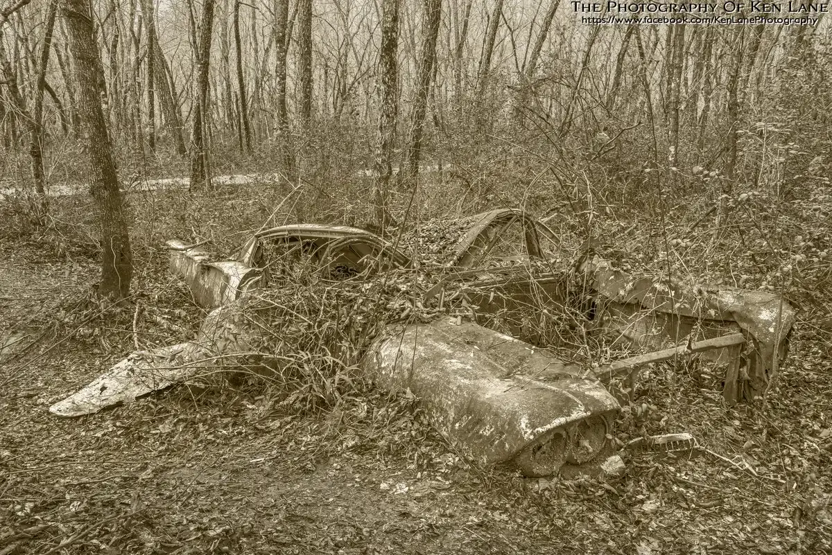 An old, rusted car lies abandoned and overgrown in a sepia-toned forest.