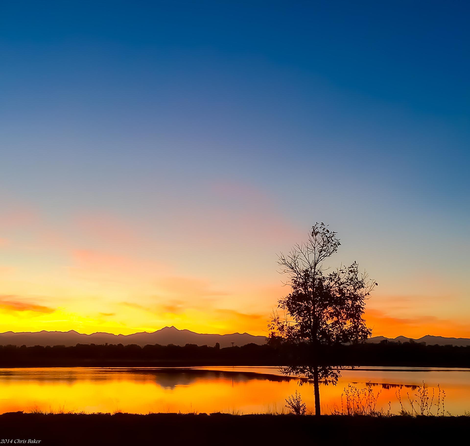 Golden sunset reflects on a lake with a dark tree and mountain silhouette.