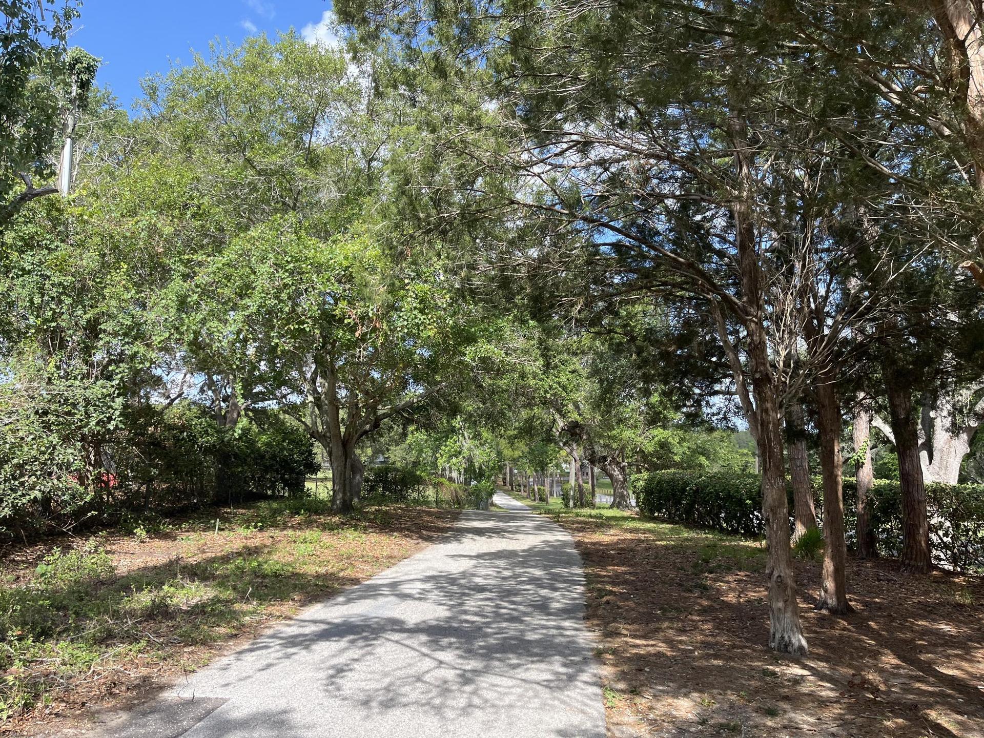 A shaded paved path winding through dense green trees and bushes.