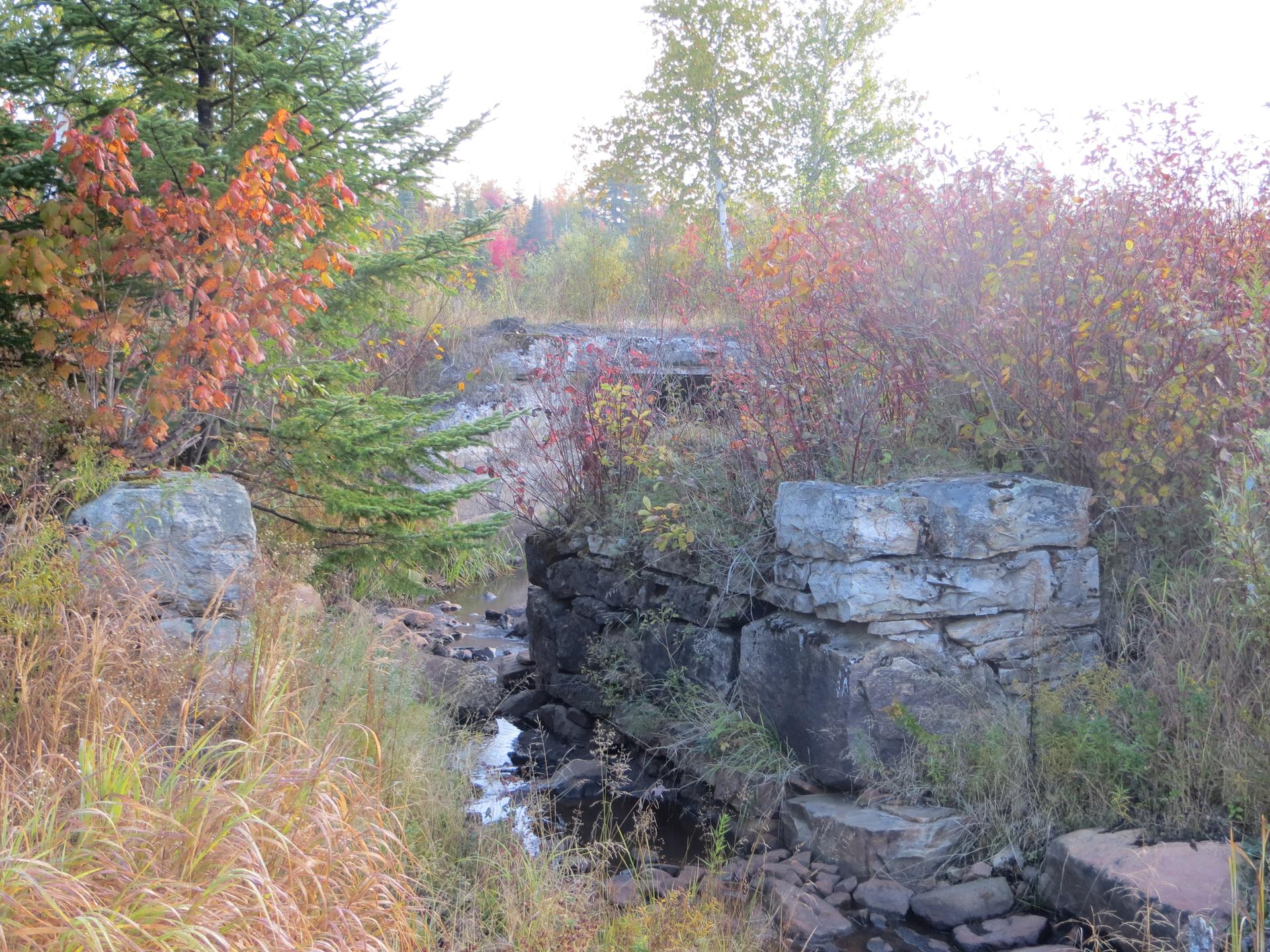 Stone ruins over a small stream, surrounded by autumn foliage under diffused light.