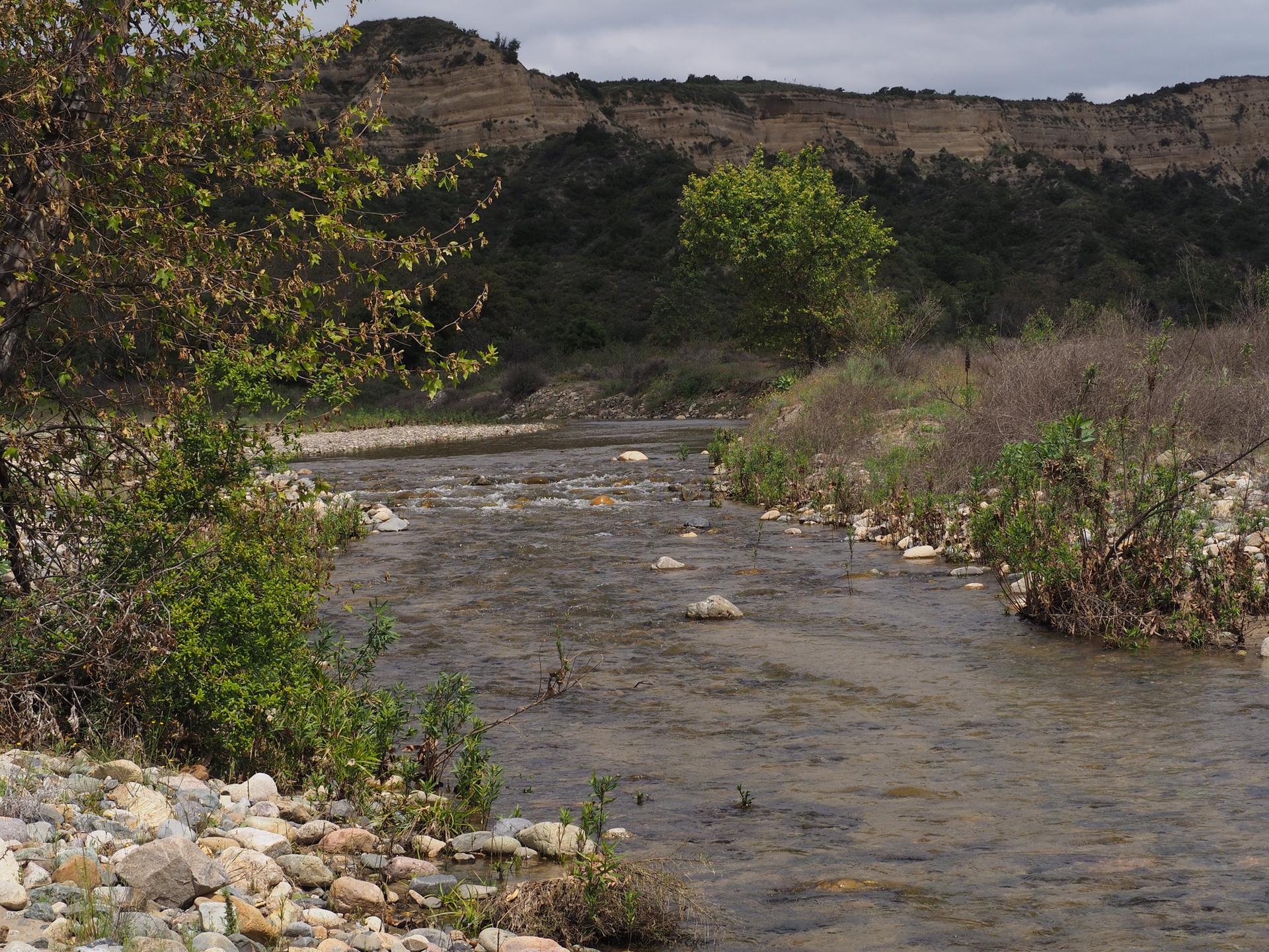 A rocky river flows through a green, hilly landscape under an overcast sky.