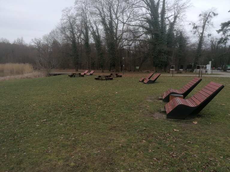 Park Szczodre