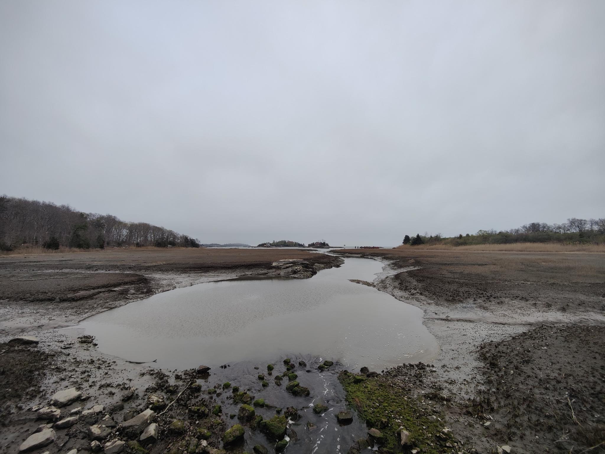 Muddy tidal flats with a winding stream under a gray, overcast sky.