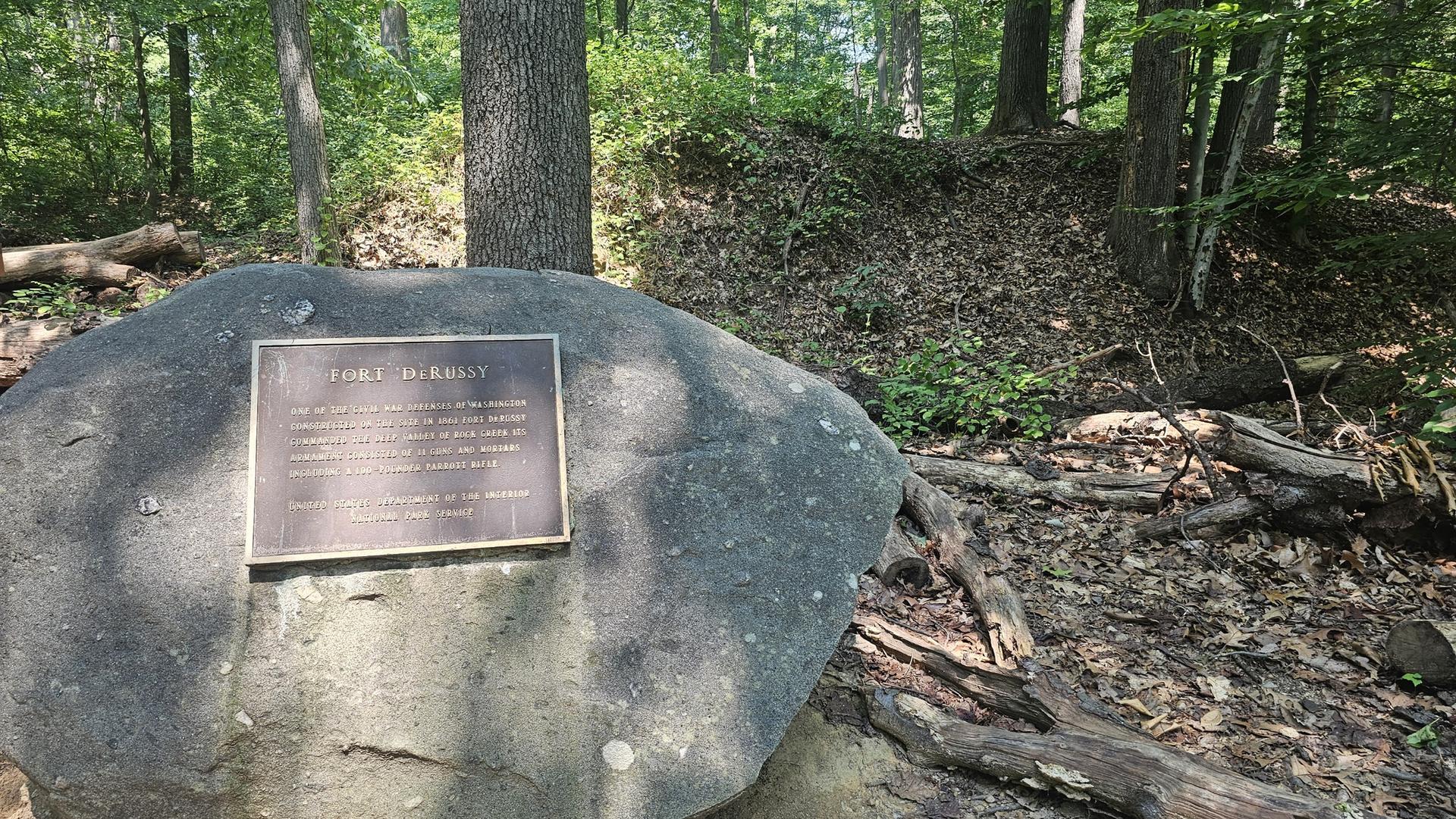 Bronze plaque on a large rock in a sunlit forest with fallen leaves.