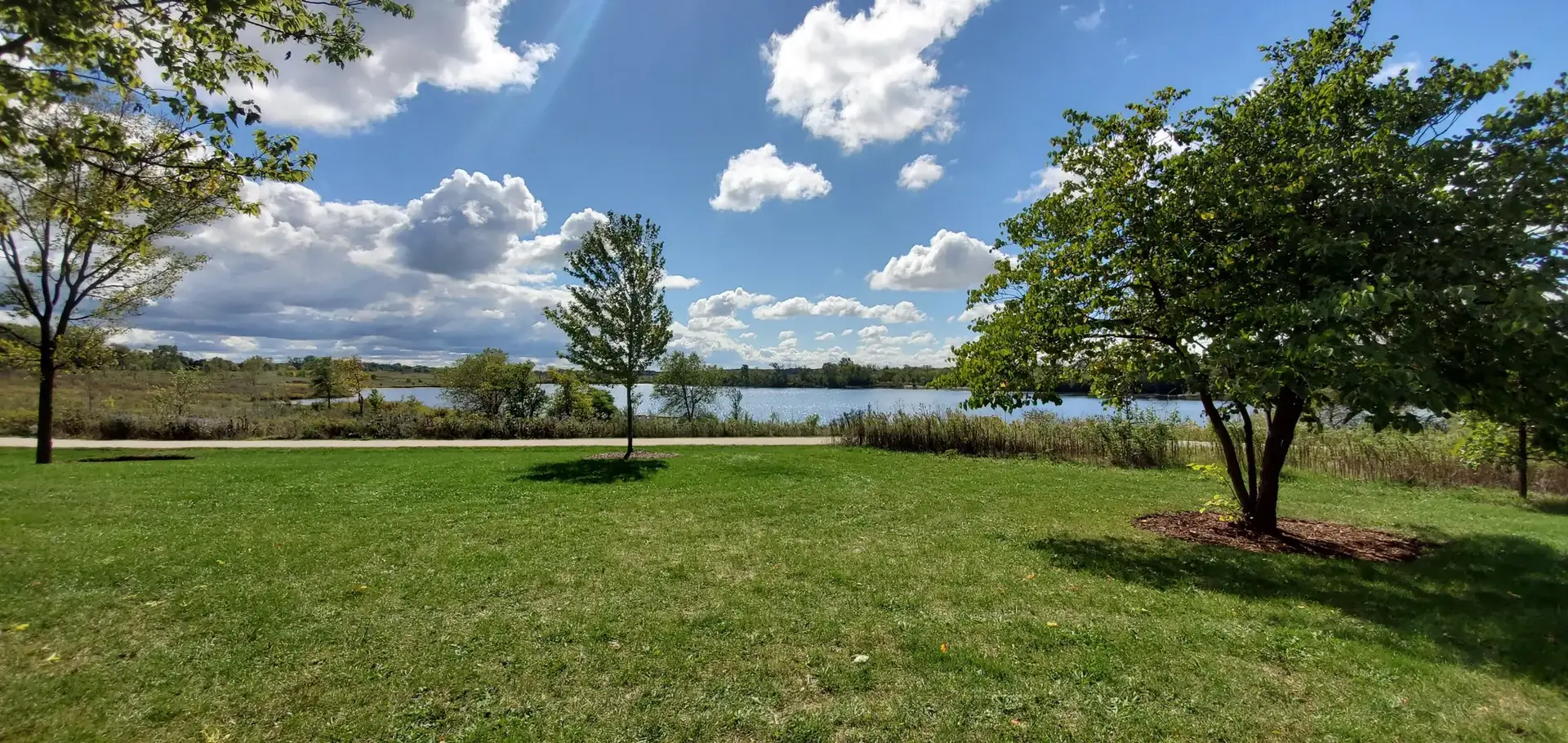 Sunny day with a lake, green grass, and trees under a cloudy blue sky.