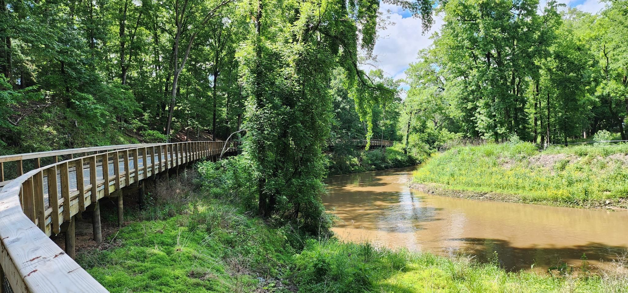 Wooden boardwalk curves alongside a muddy river under bright green trees. - Little Sugar Creek Greenway
