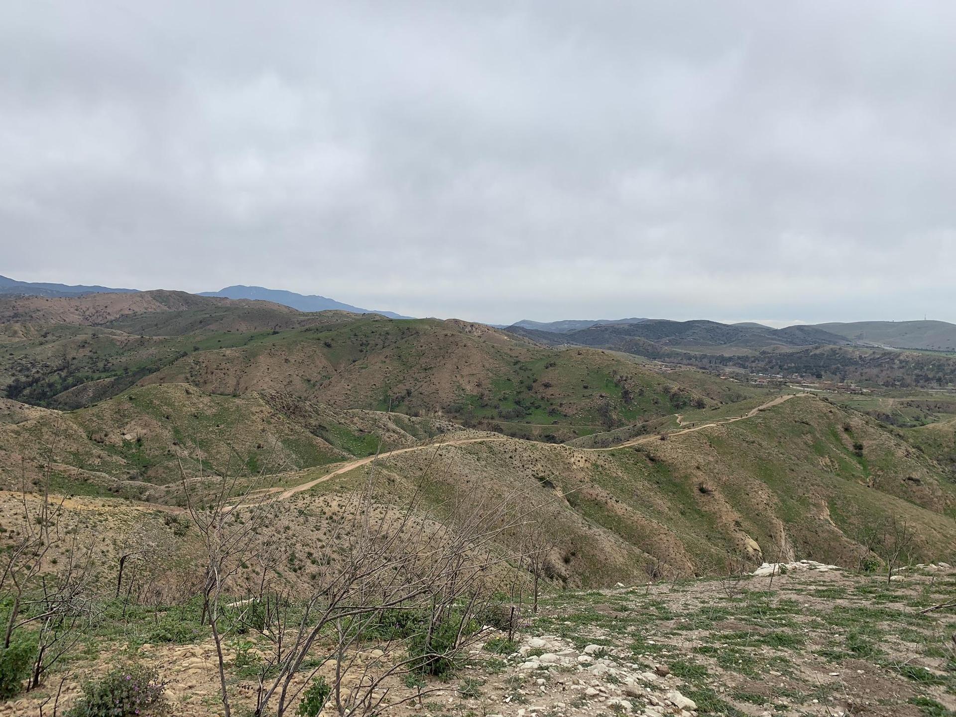 Rolling green and brown hills under an overcast sky with dirt paths.