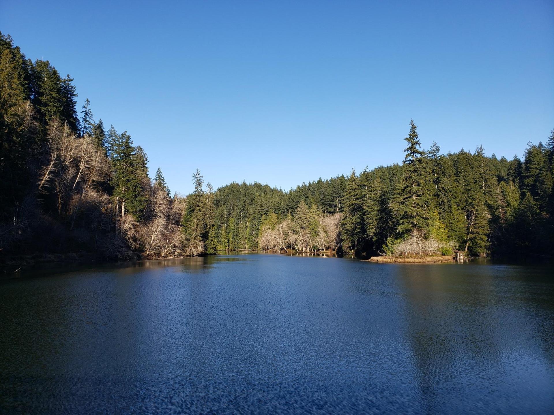 A calm lake surrounded by dense forest under a clear blue sky.