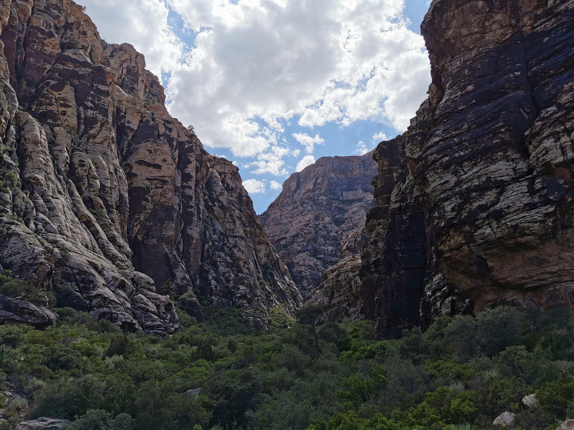 Grand canyon view with towering rock walls and dense green vegetation below.