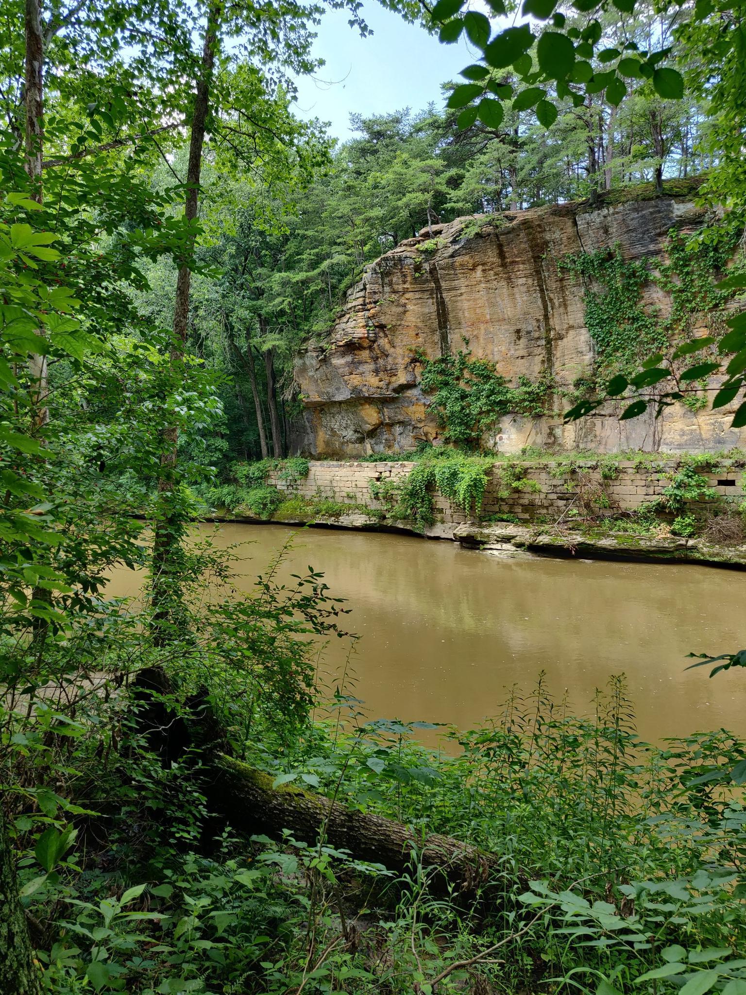 Brown river flowing past a tall, layered rock cliff and dense forest.