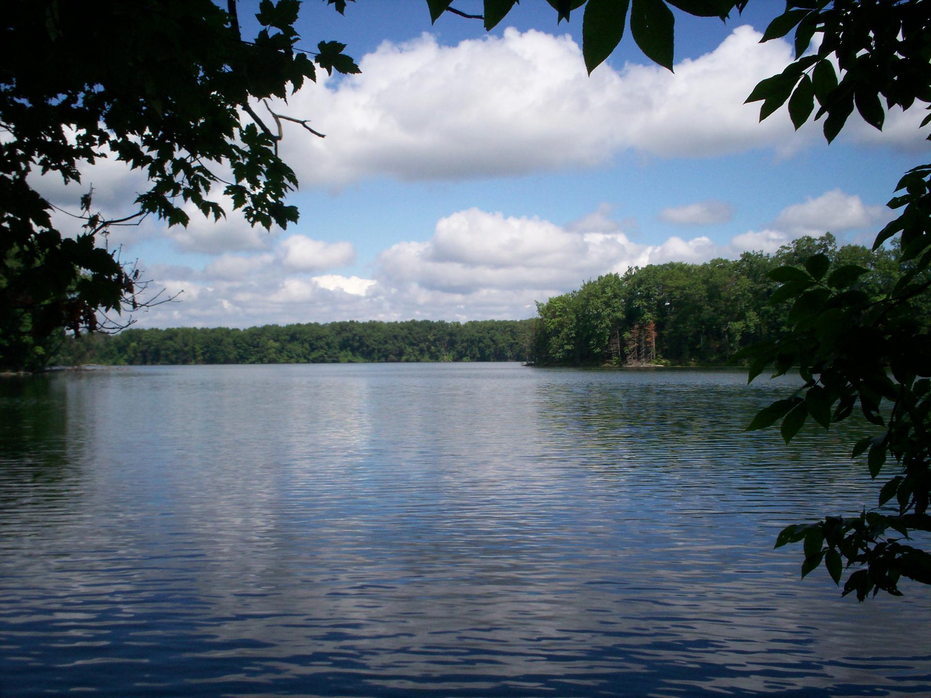 A serene lake surrounded by lush green forest under a bright, cloudy sky.