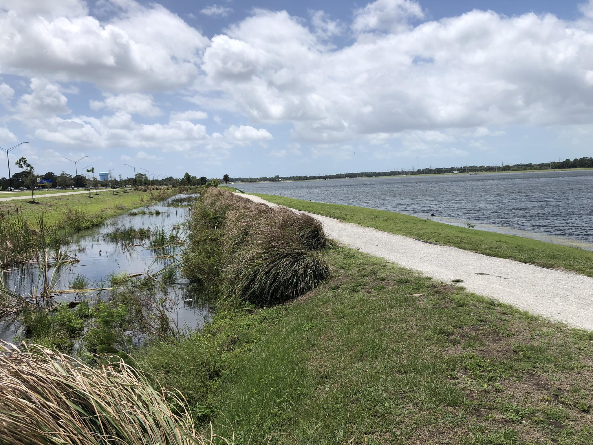 Gravel path next to a marshy area and large body of water under cloudy sky.