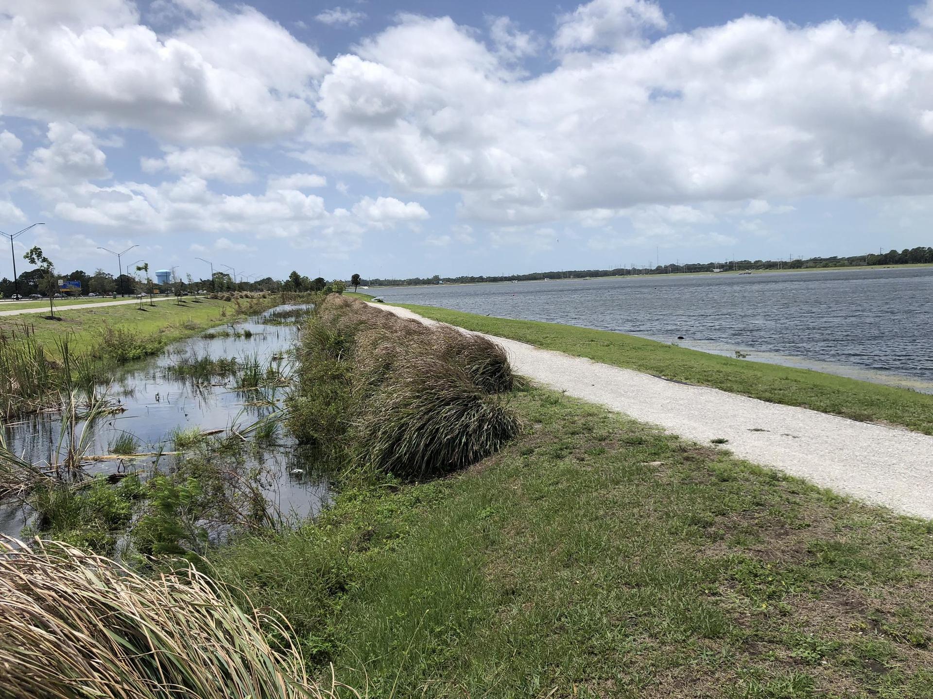 Gravel path next to a marshy area and large body of water under cloudy sky.