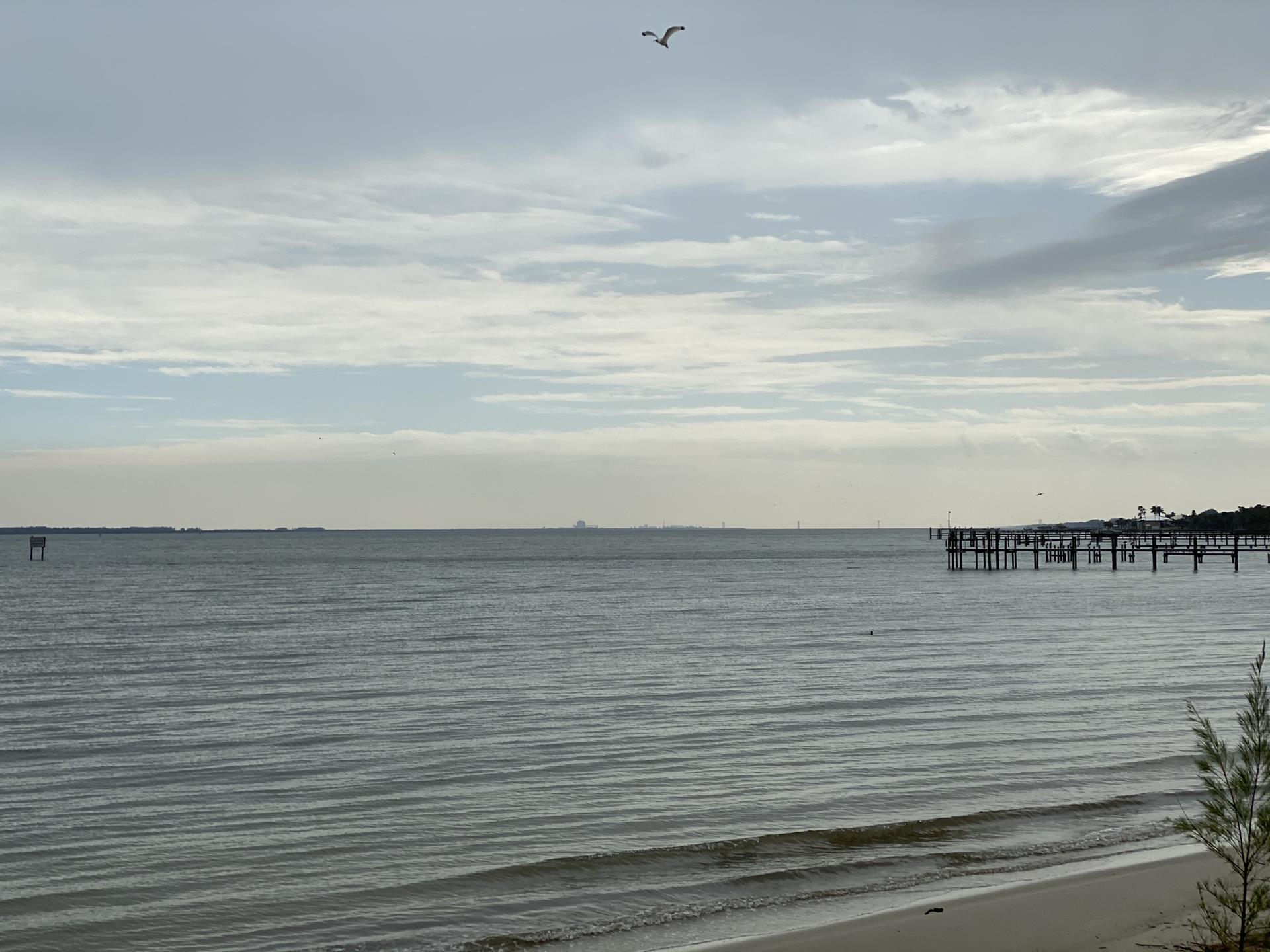 Calm water and sandy beach under a cloudy sky, with a bird flying.