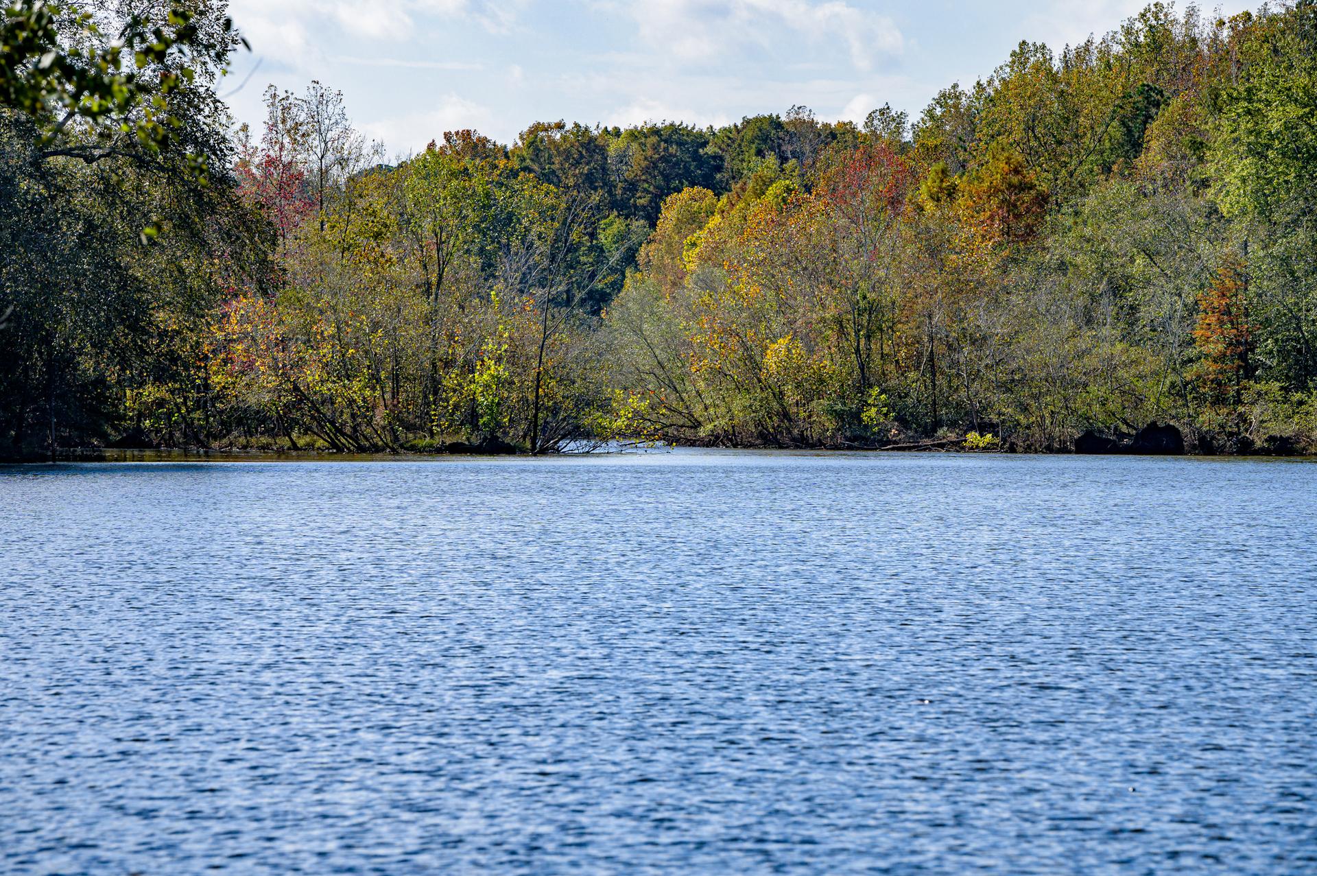 Calm blue lake reflecting a vibrant autumn forest under a bright sky.