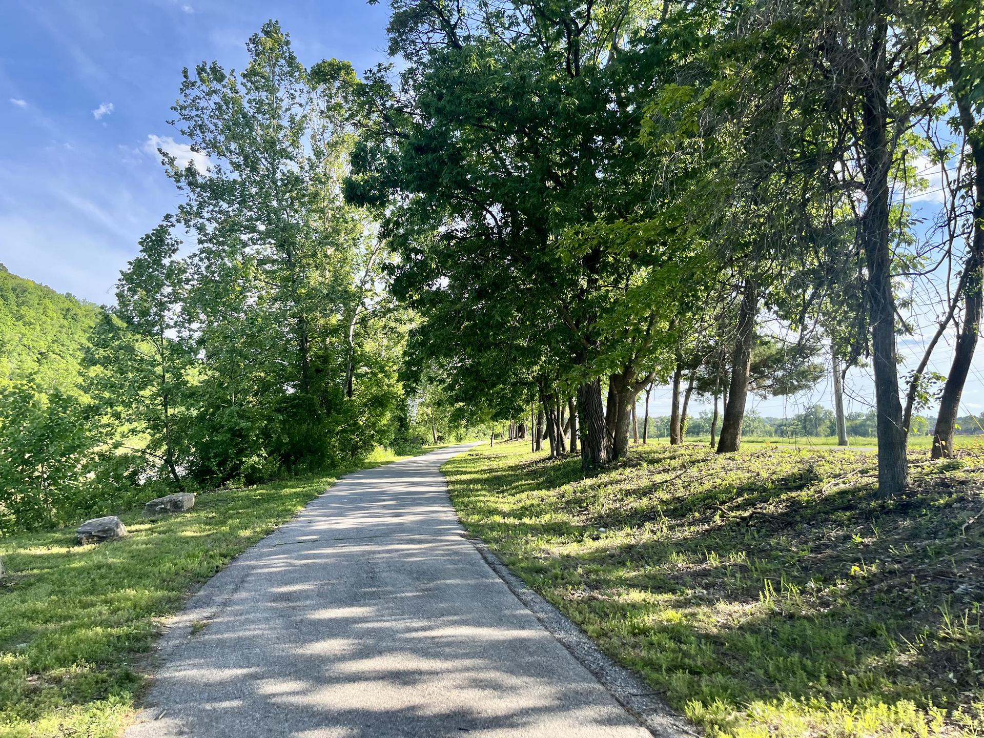 Sunny paved path bordered by lush green trees and grassy fields.