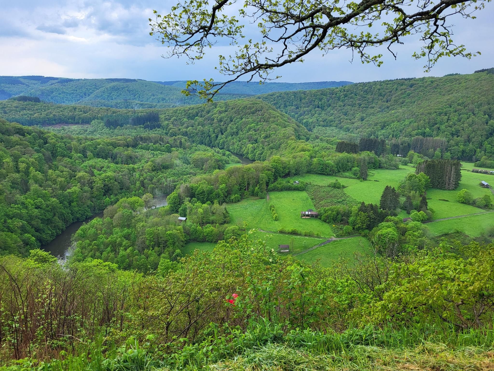 Along the Semoy - Southern Ardennes Nature Park | ride | Komoot