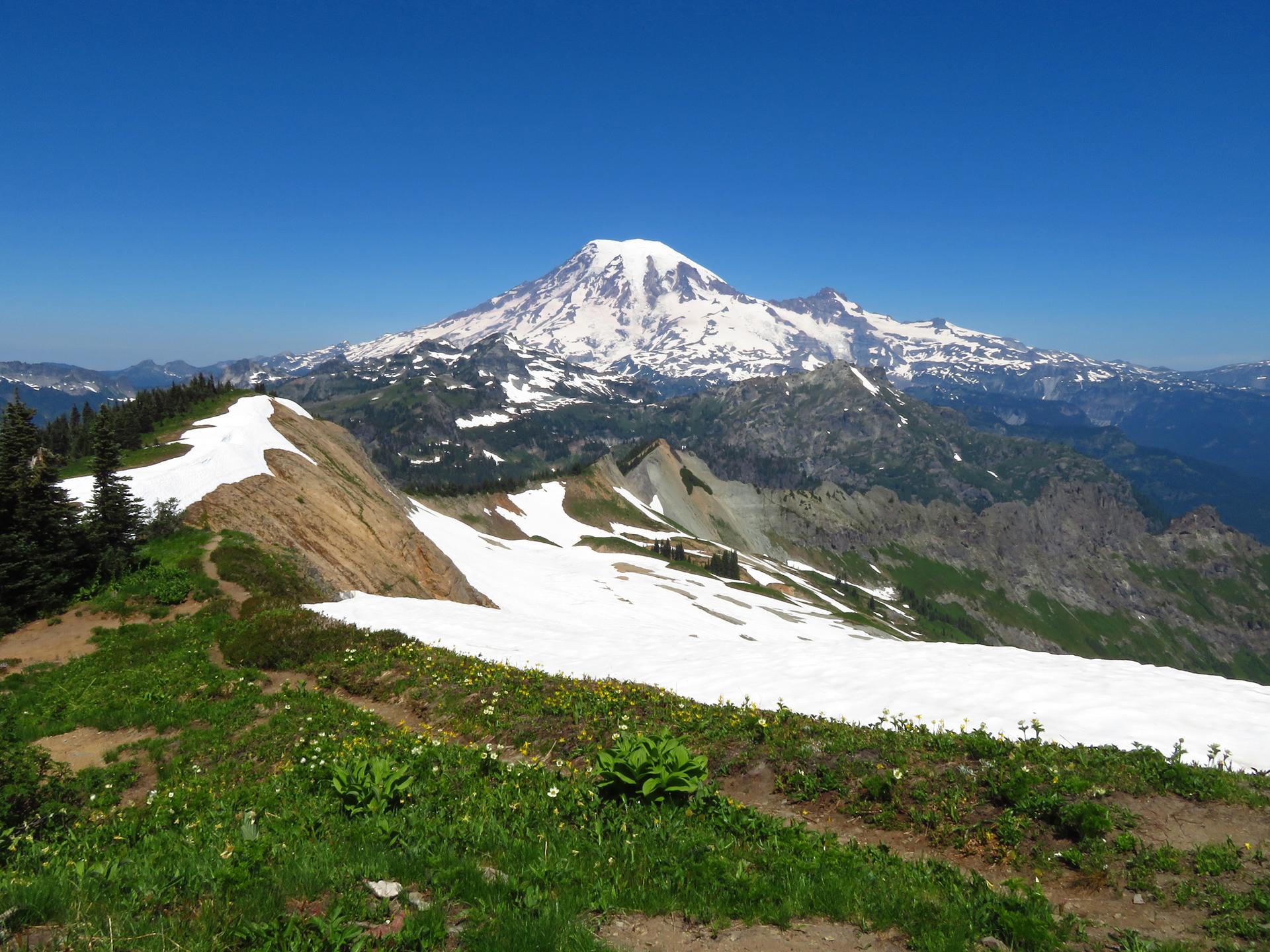A snow-covered mountain dominates a sunny landscape with a grassy ridge.