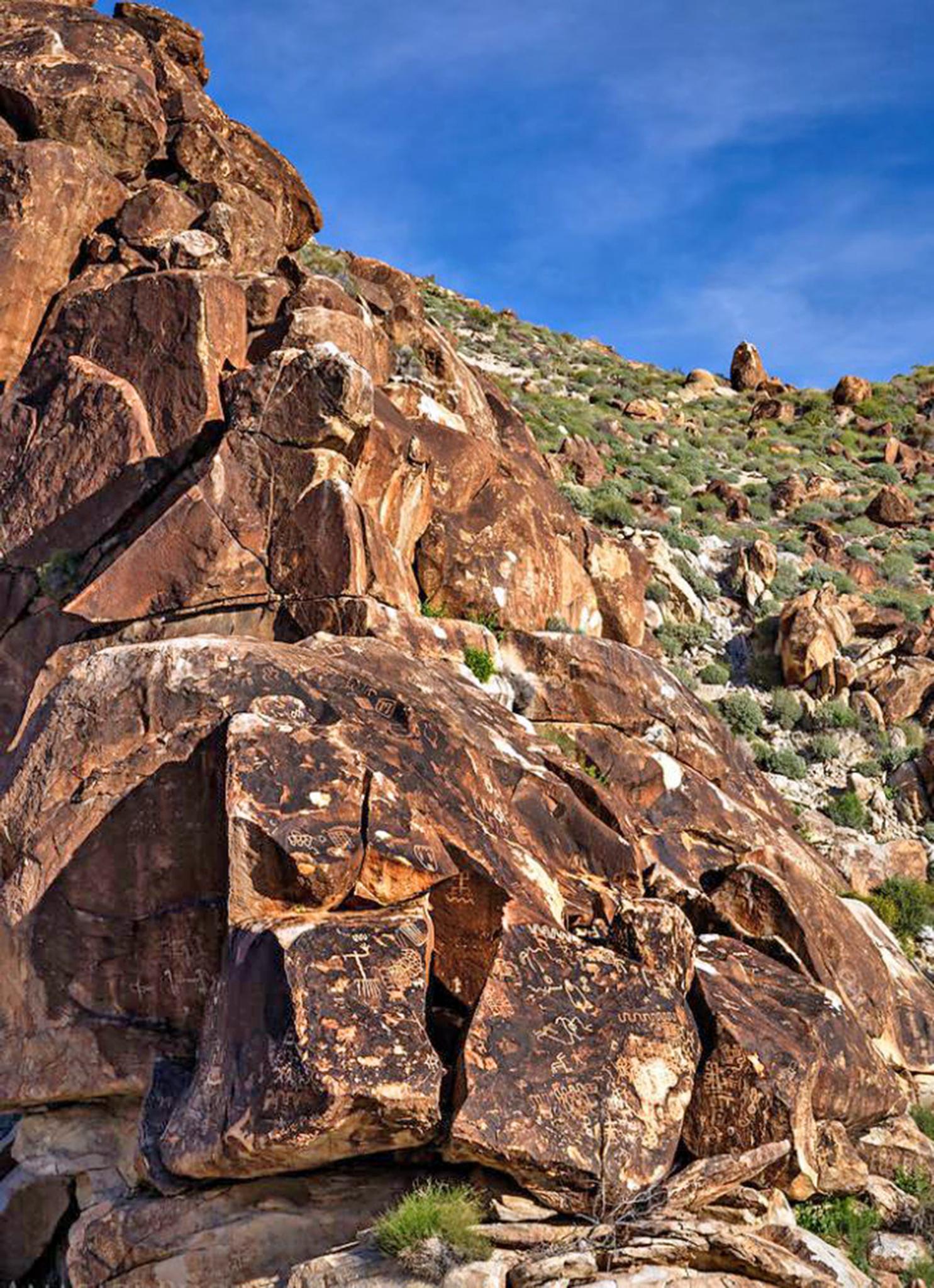 Close-up of large, reddish-brown boulders on a sunny, rocky desert hillside.