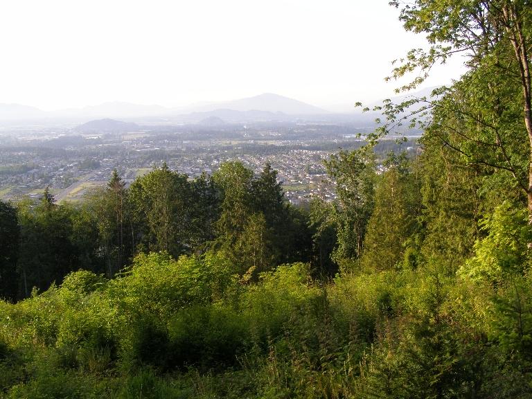 Hazy view from a green forest overlooking a distant town and mountains.