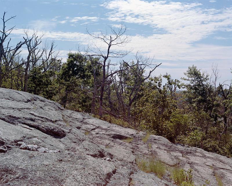 Rocky hillside with bare and green trees under a partly cloudy sky.