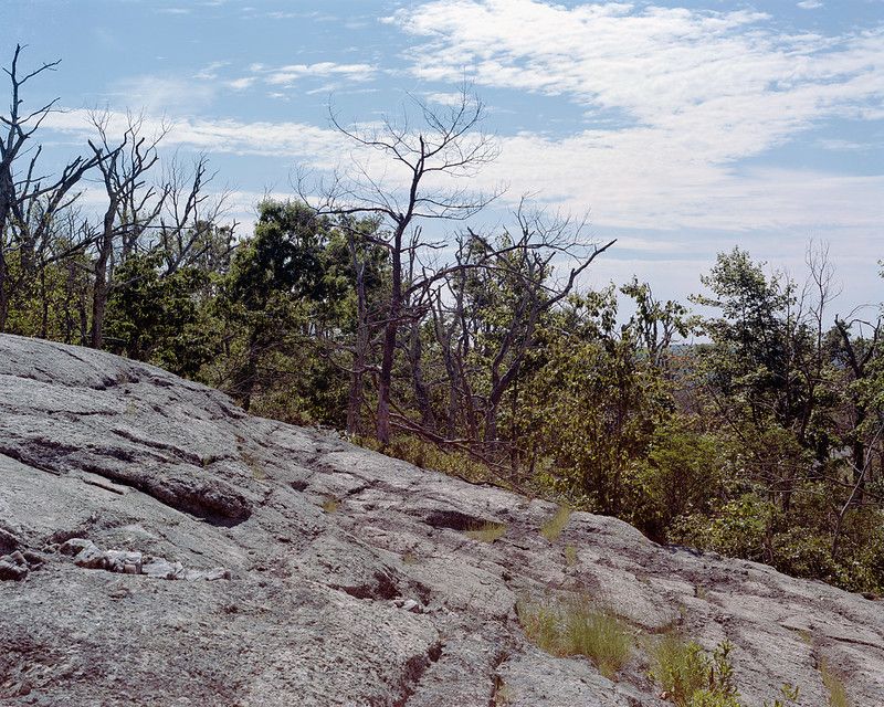 Rocky hillside with bare and green trees under a partly cloudy sky. - Bear Hill Loop