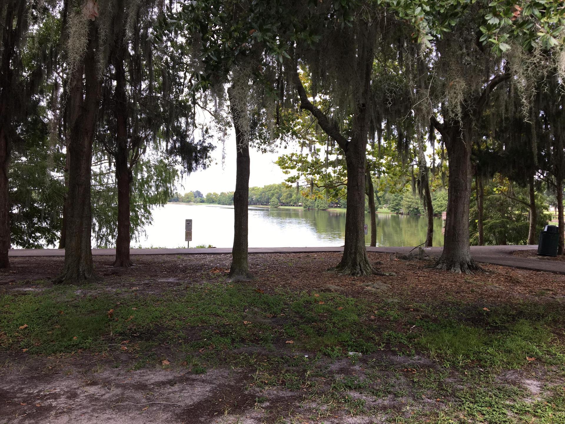 Shady trees with Spanish moss frame a calm lake on an overcast day.
