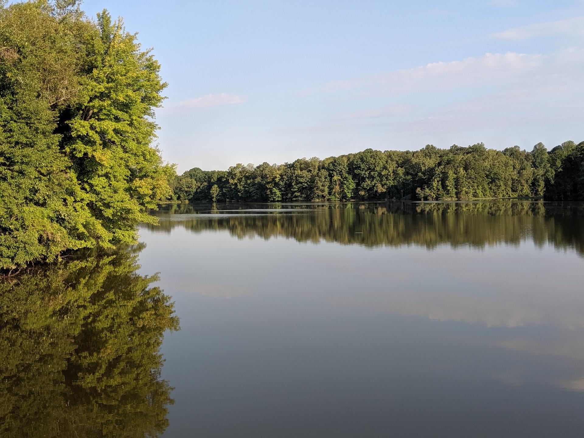 Calm lake reflecting dense green forest under a bright, sunny sky.