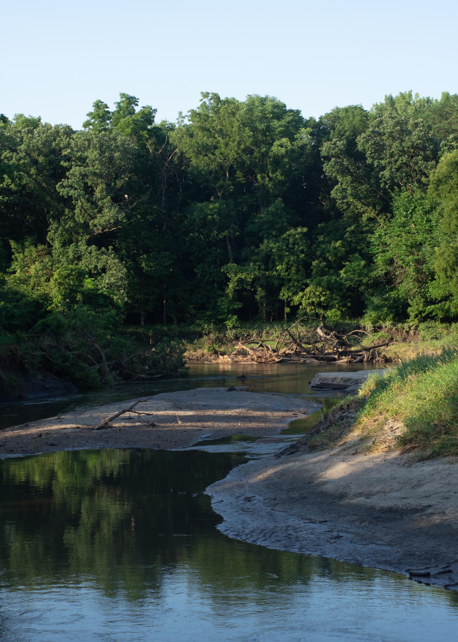 A calm river flows through a dense green forest under a clear sky.