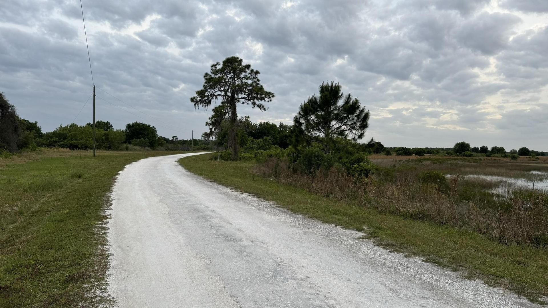 A winding dirt road through a grassy landscape with trees under an overcast sky.