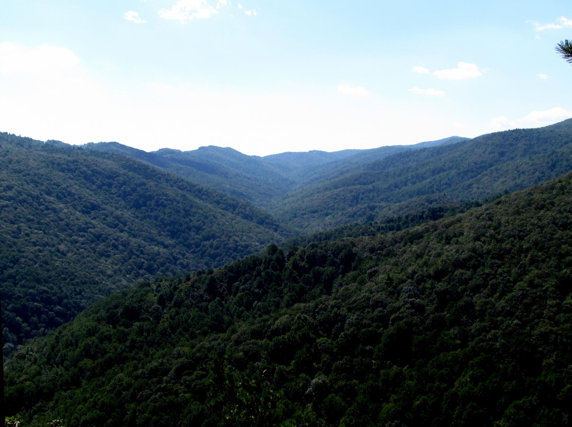 Expansive view of lush green forested mountains and valleys under a bright sky.