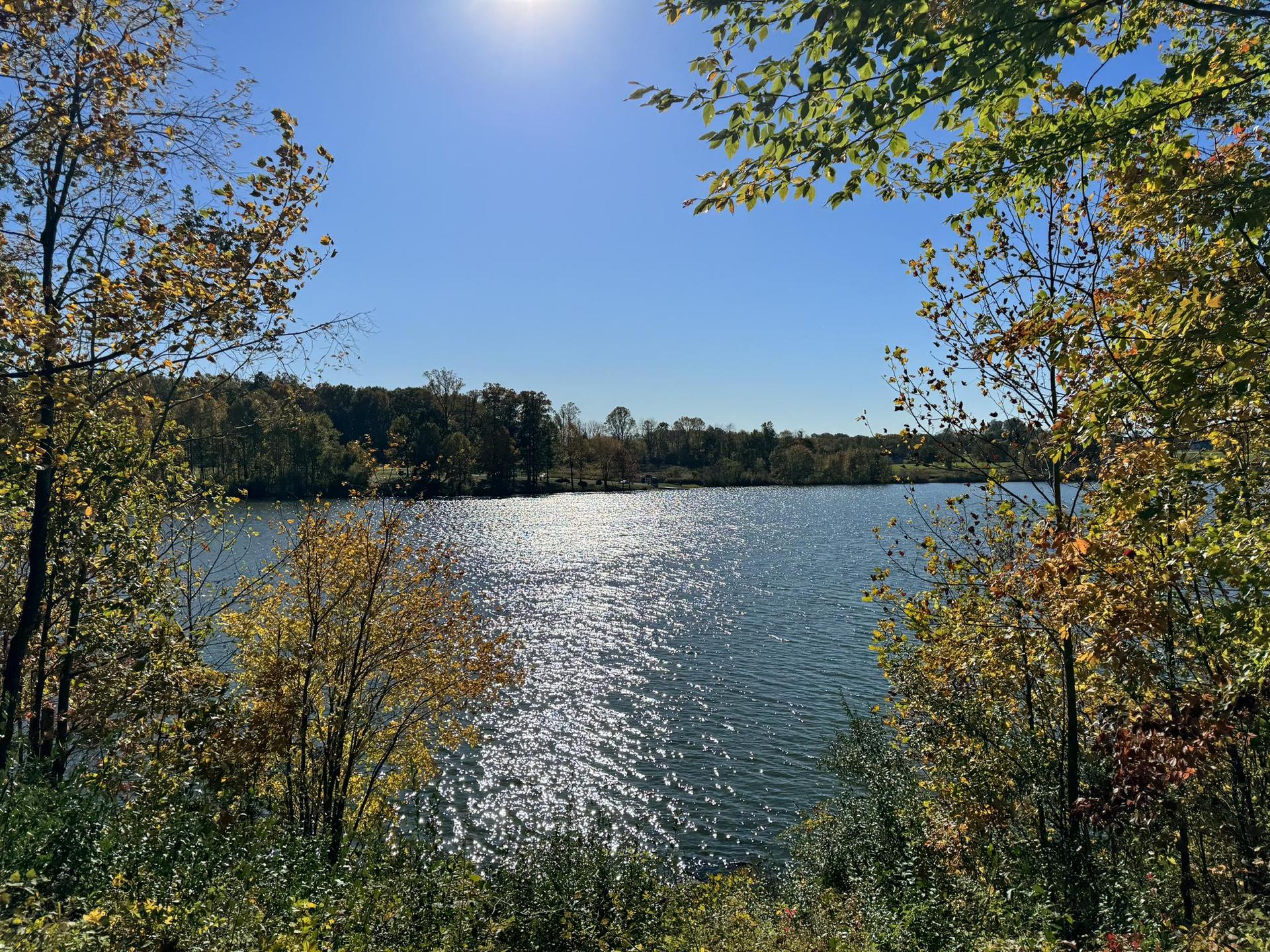 Sunny lake surrounded by autumn trees, with sparkling water under a blue sky.