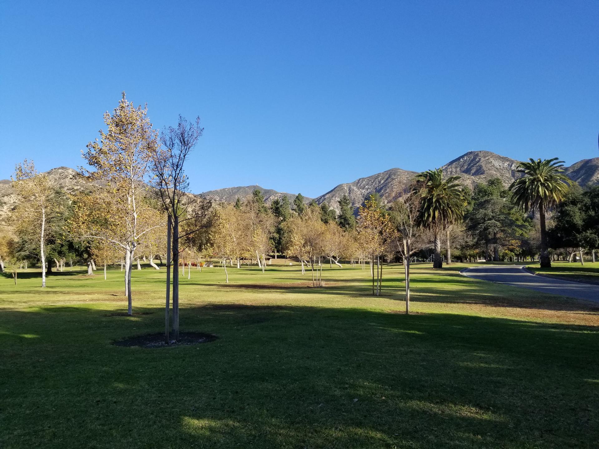 A sunny park with green grass, various trees, and distant mountains under a clear sky.