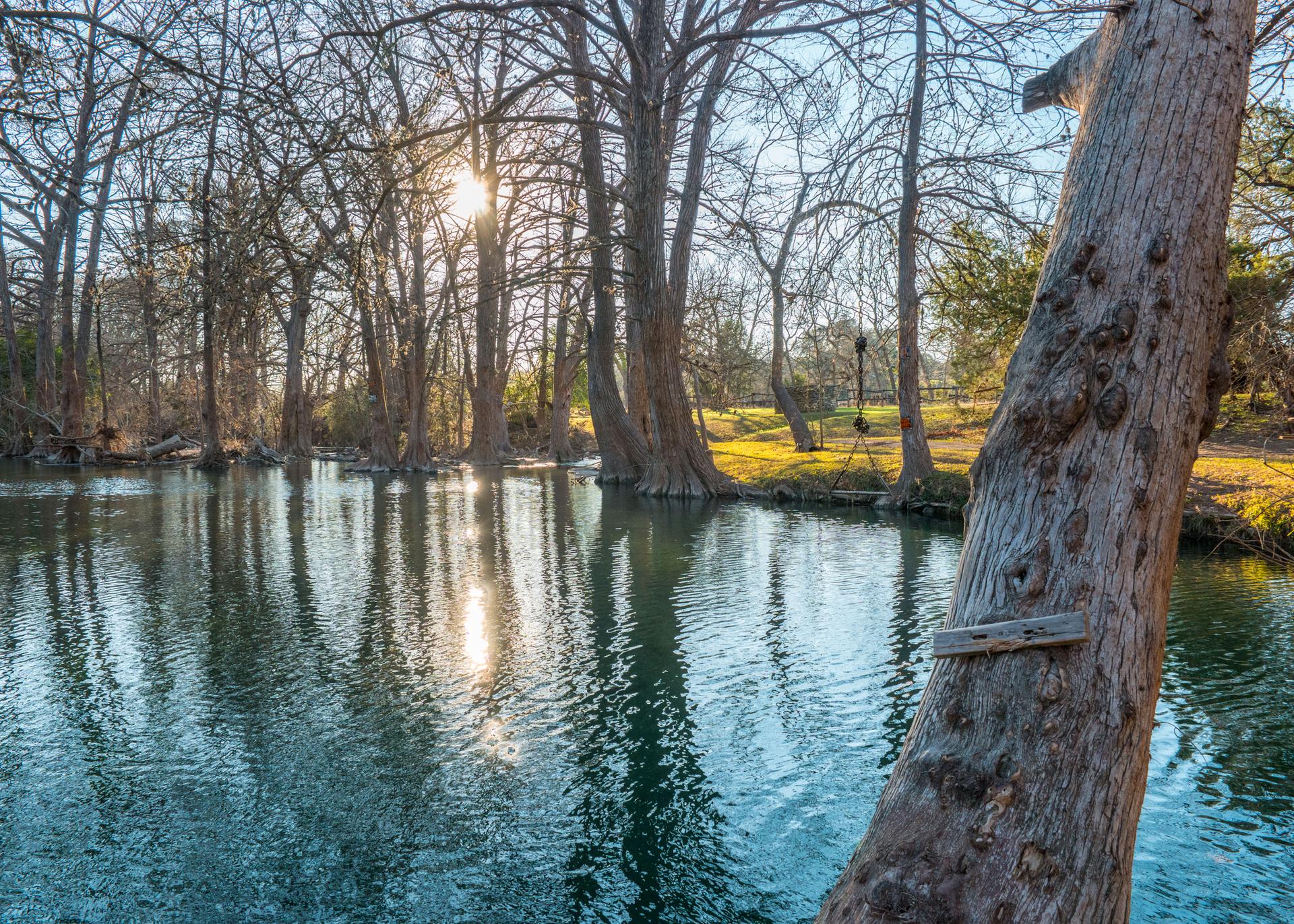 A sunny river scene with bare trees, reflections, and a tree swing.