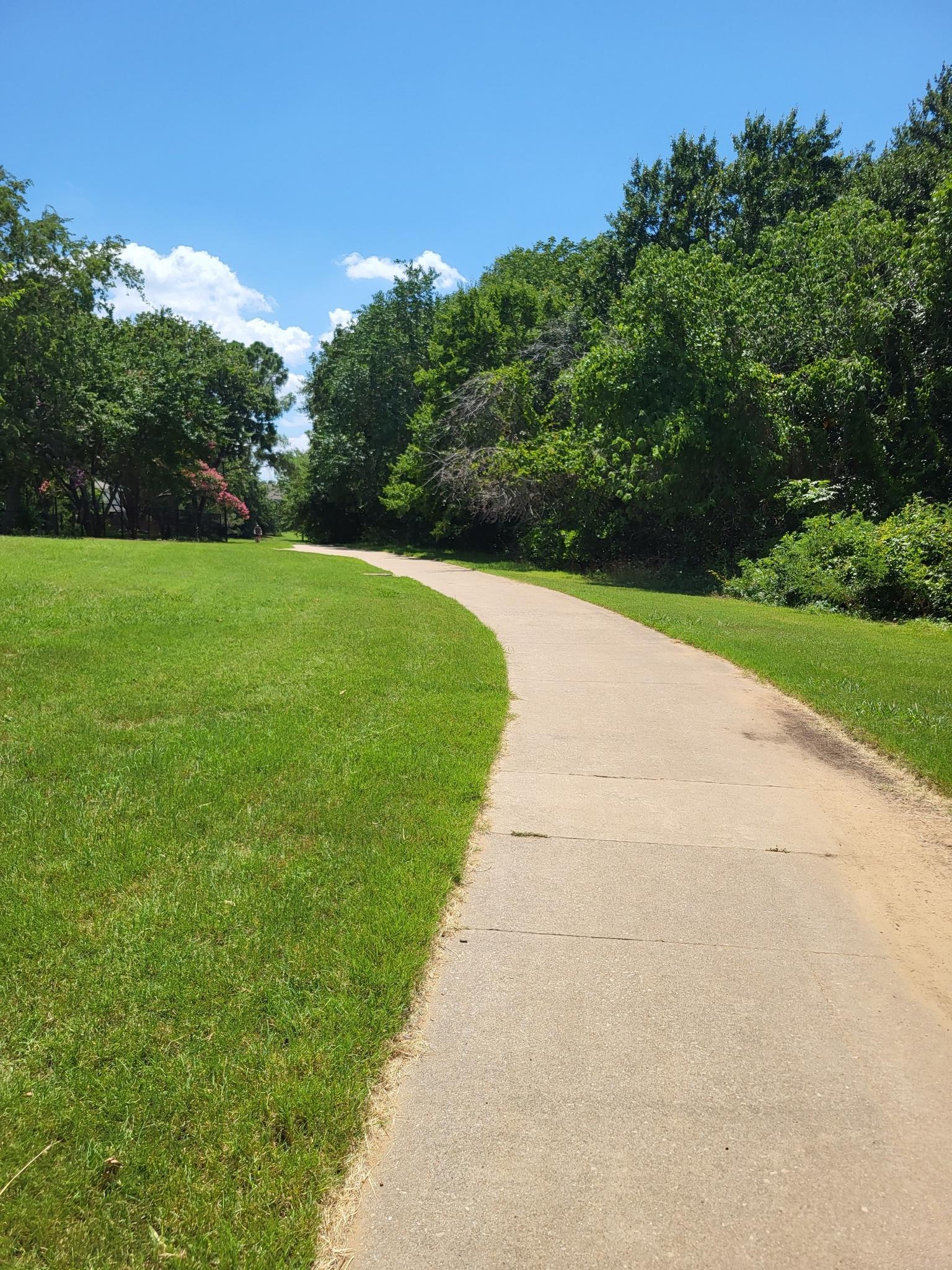 Winding concrete path through green grass and dense trees on a sunny day.