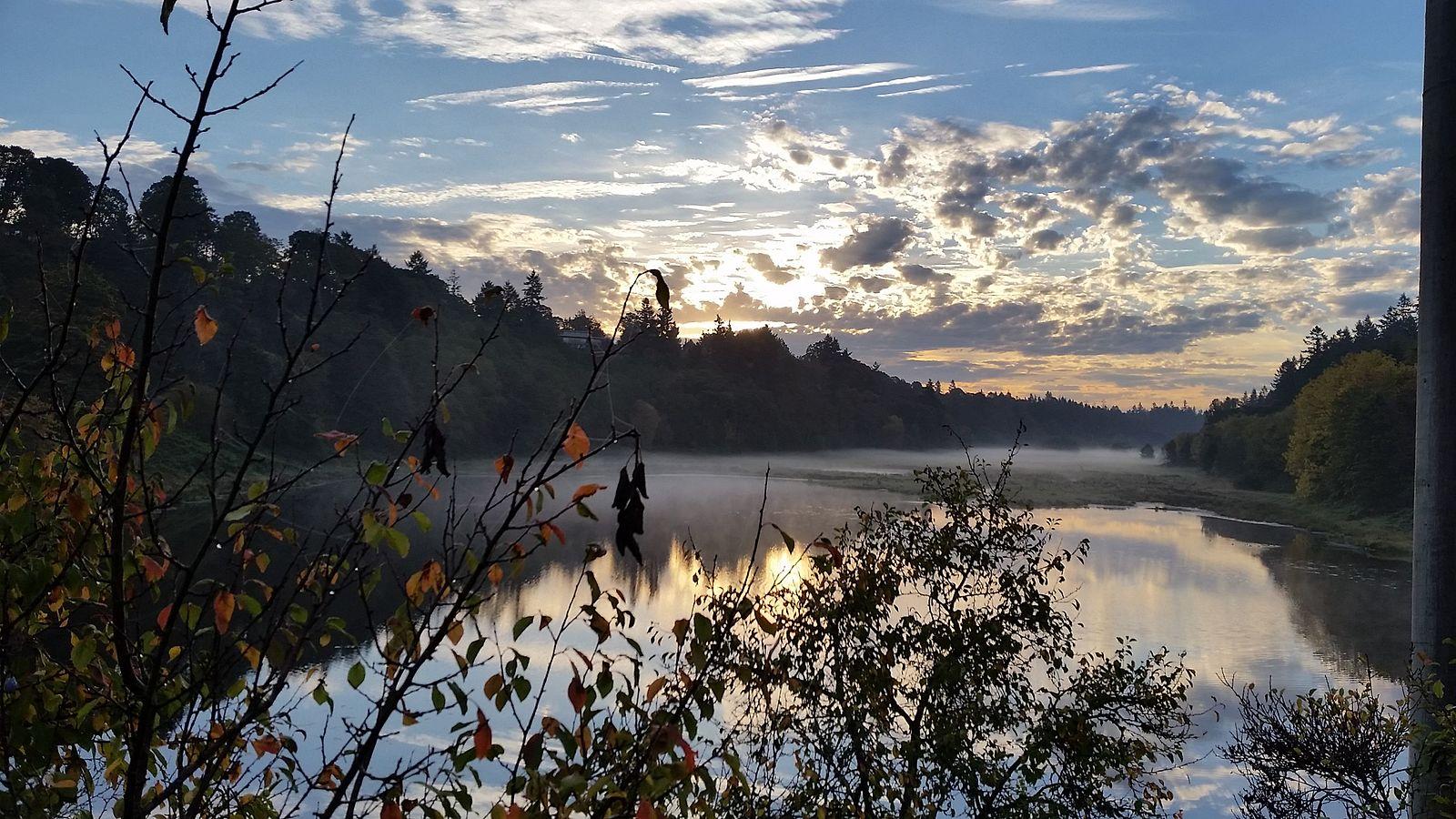 Misty river at sunrise, reflecting golden light under a cloudy sky.