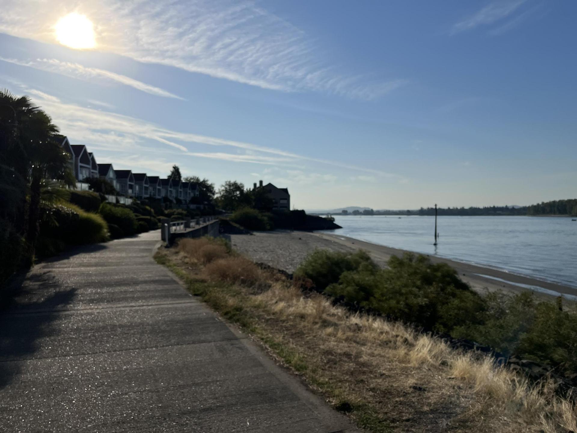 Sunny paved path beside calm water with houses on a distant bank.