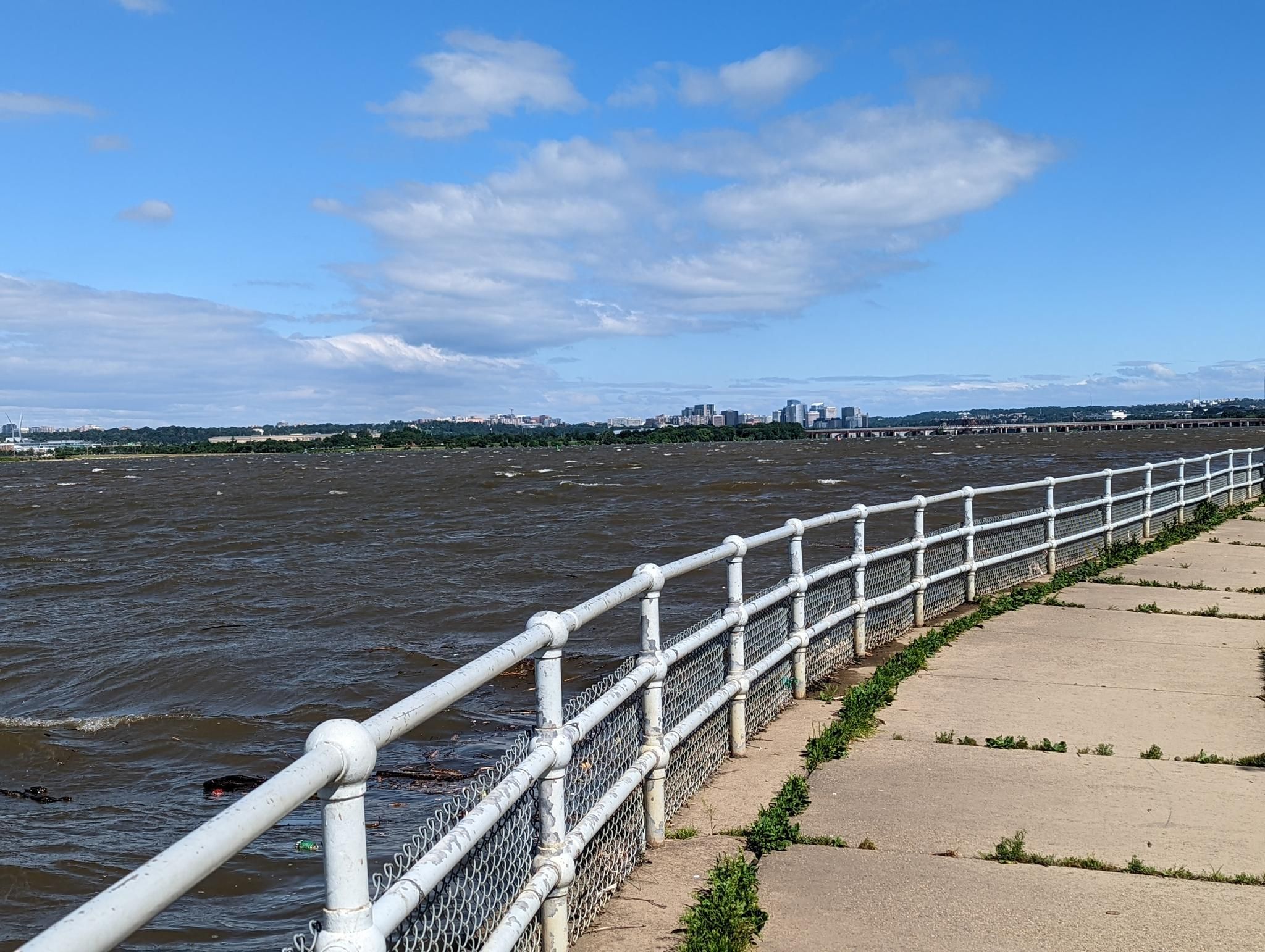 Choppy water next to a white railing with a distant city skyline. - Hains Point – Anacostia Riverwalk Trail loop from Greenbelt