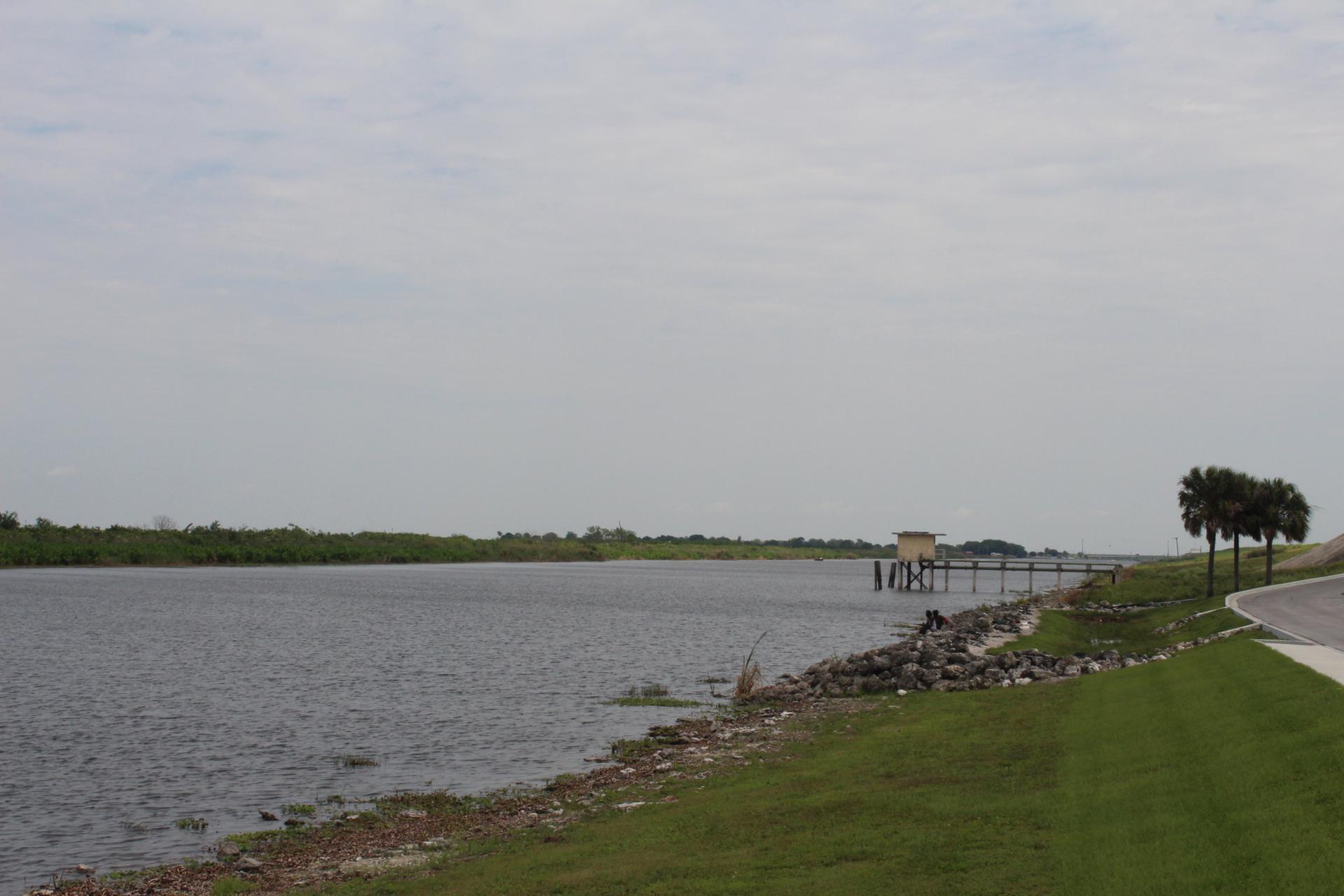 Wide river with a dock and palm trees under an overcast sky.