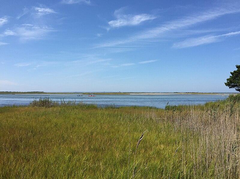 Green marsh grass borders a wide bay with distant boats under a clear sky.