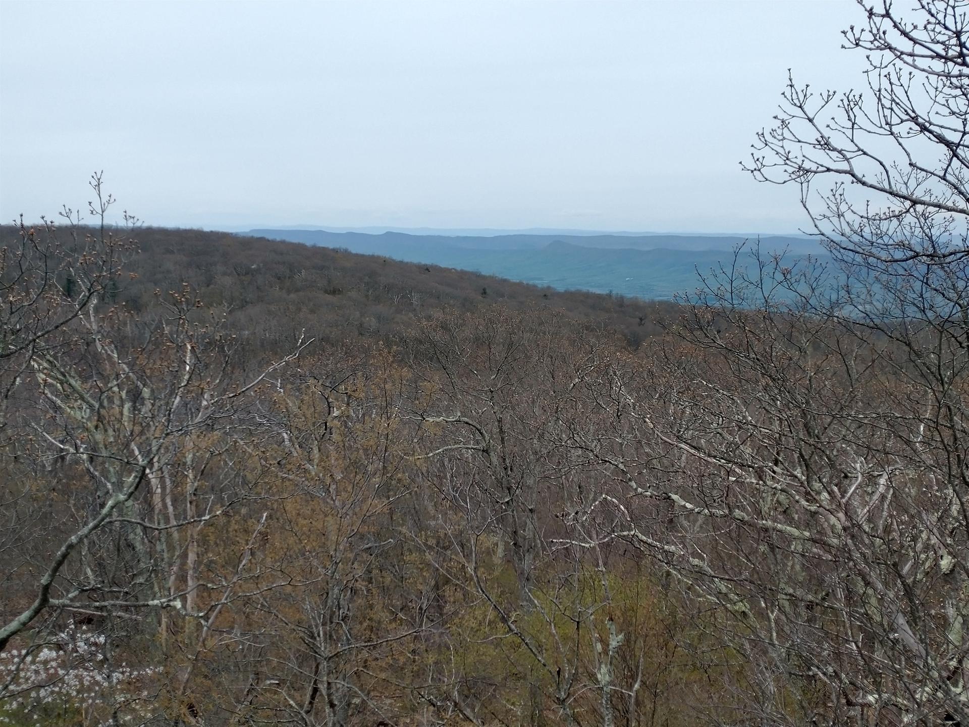 Dormant forest covering rolling hills under an overcast sky.