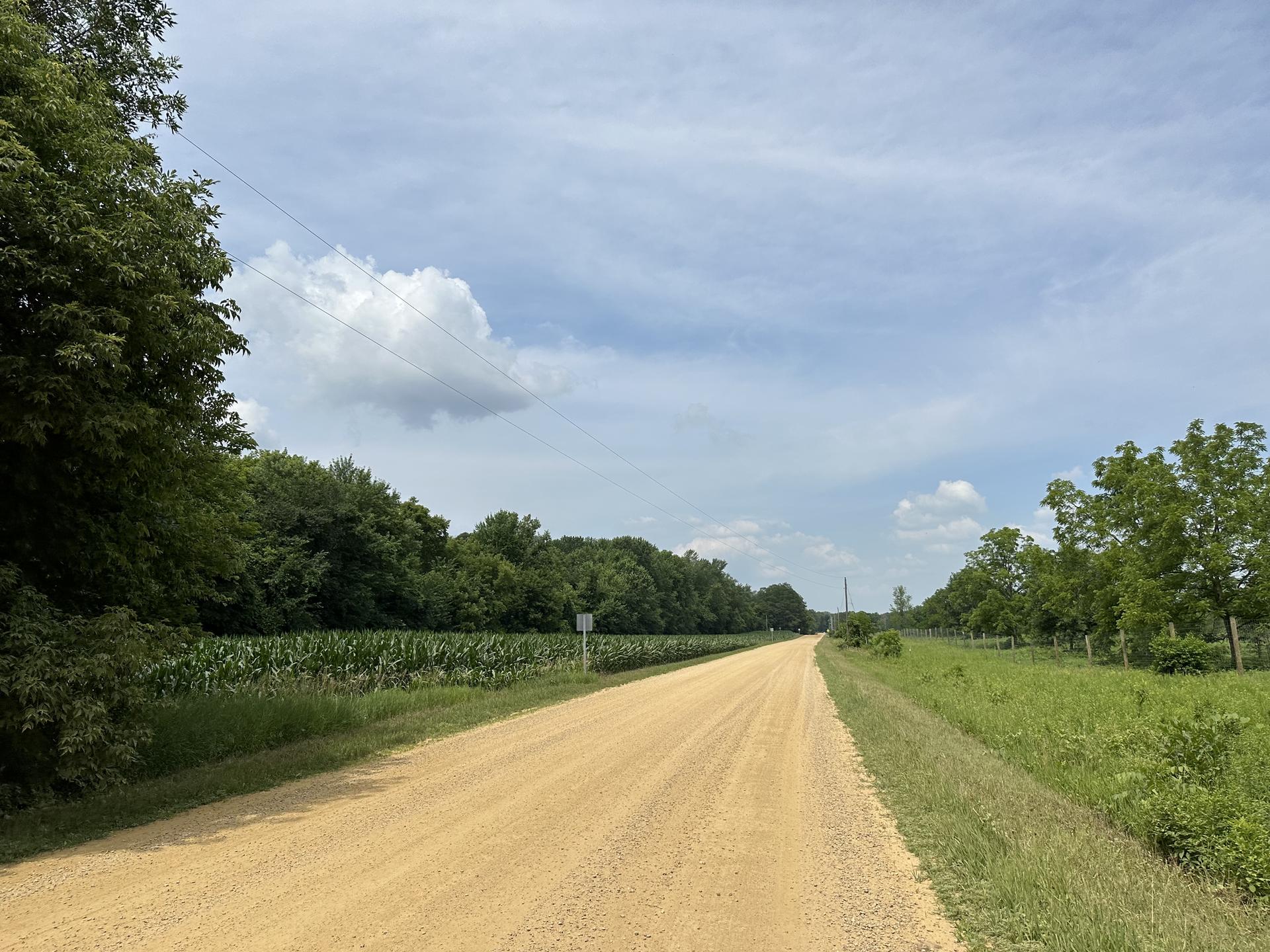 Dirt road through green fields and trees under a cloudy sky.