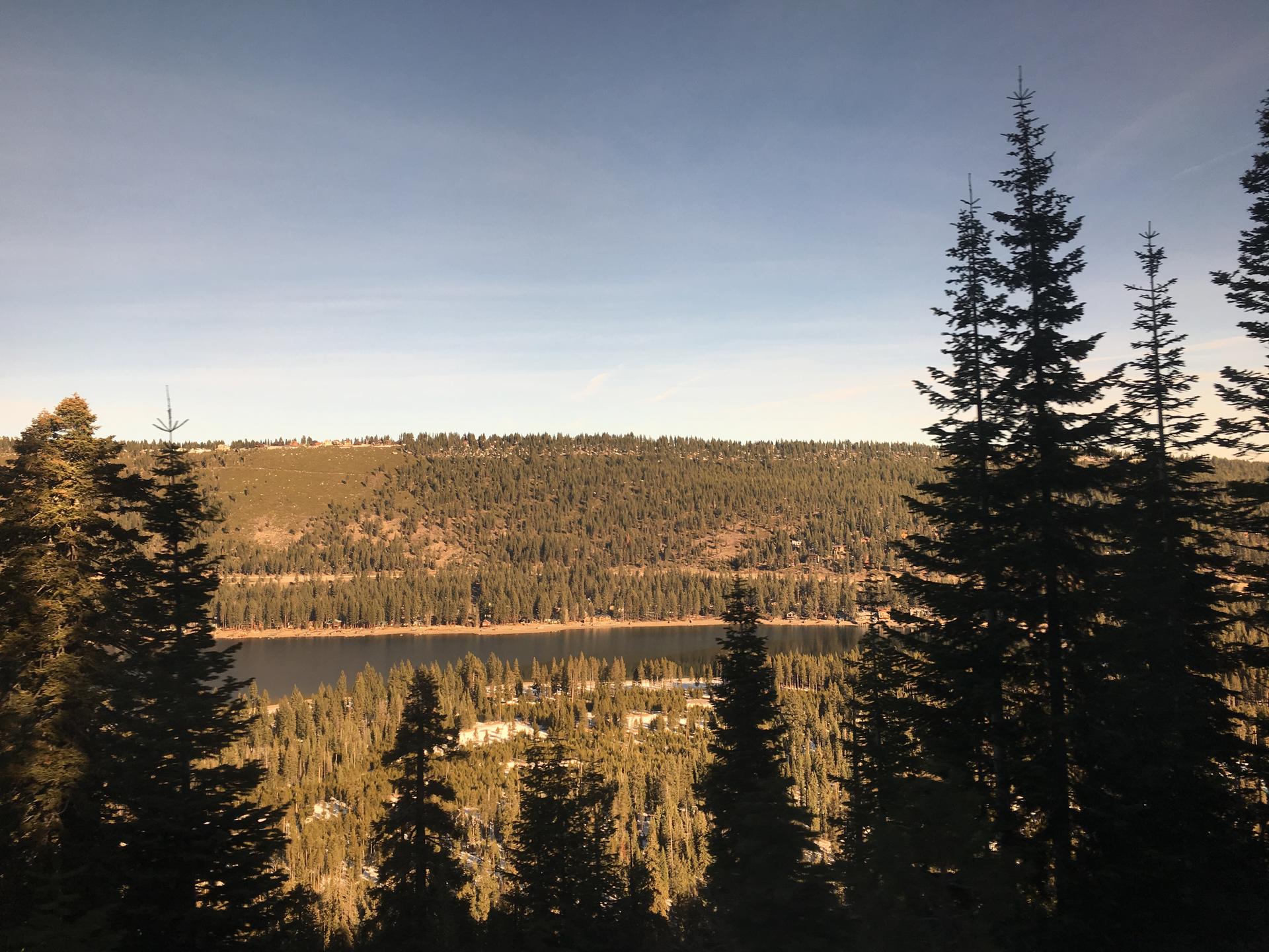Expansive view of a lake nestled within a vast evergreen forest under a clear sky.