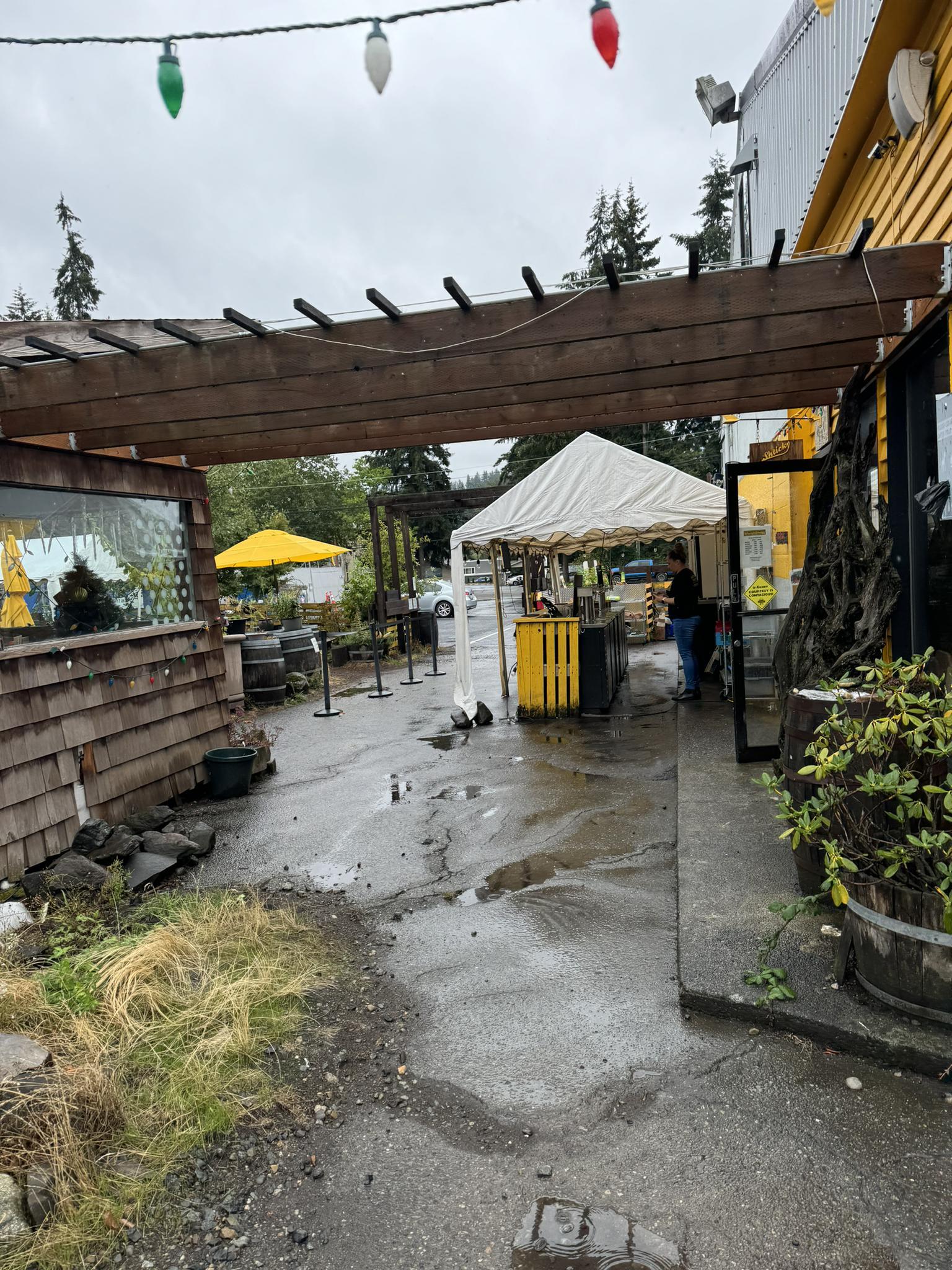 Outdoor market area with tents, string lights, and a person under overcast sky.