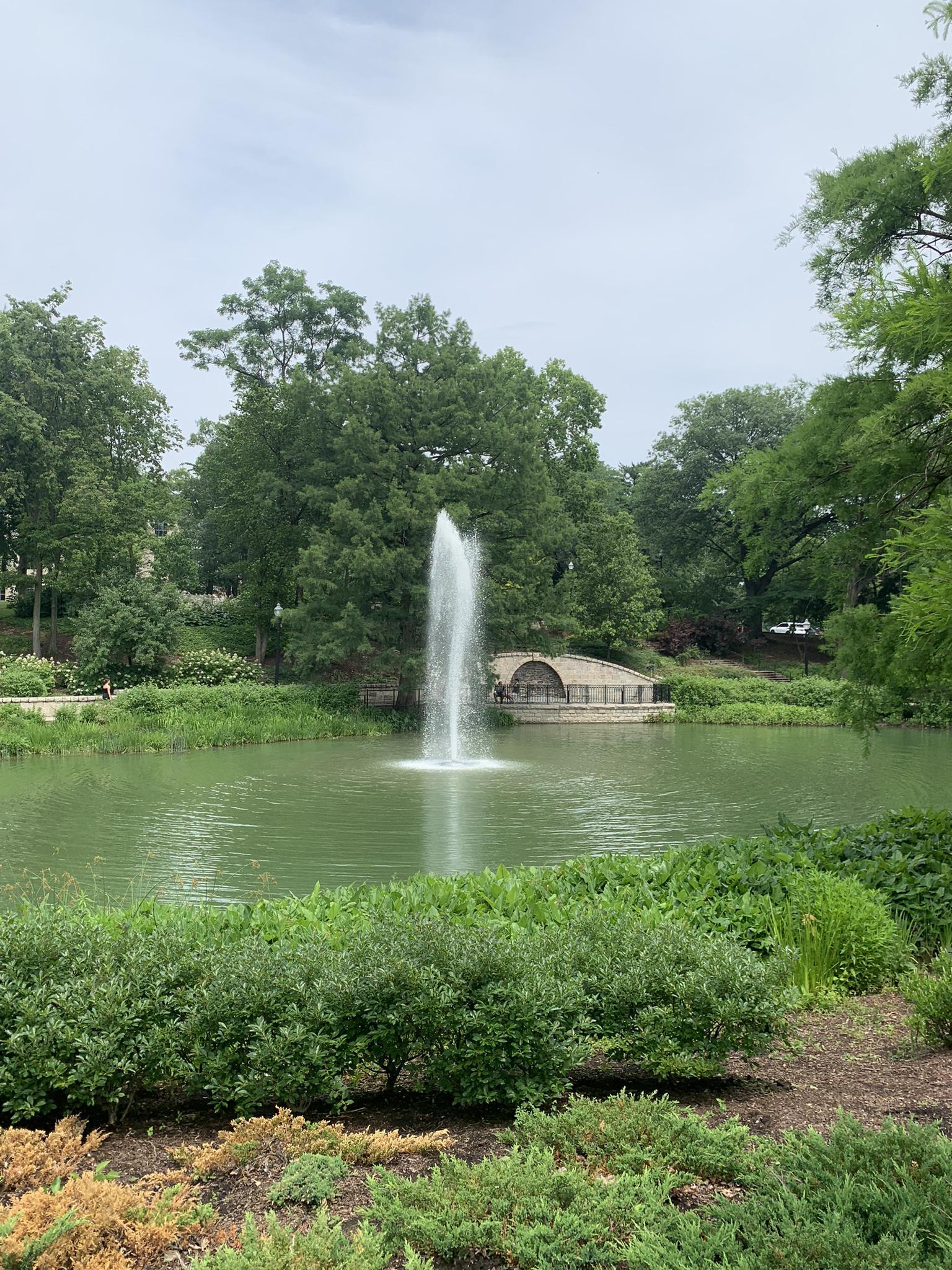 A tall water fountain sprays in a green pond surrounded by lush trees.